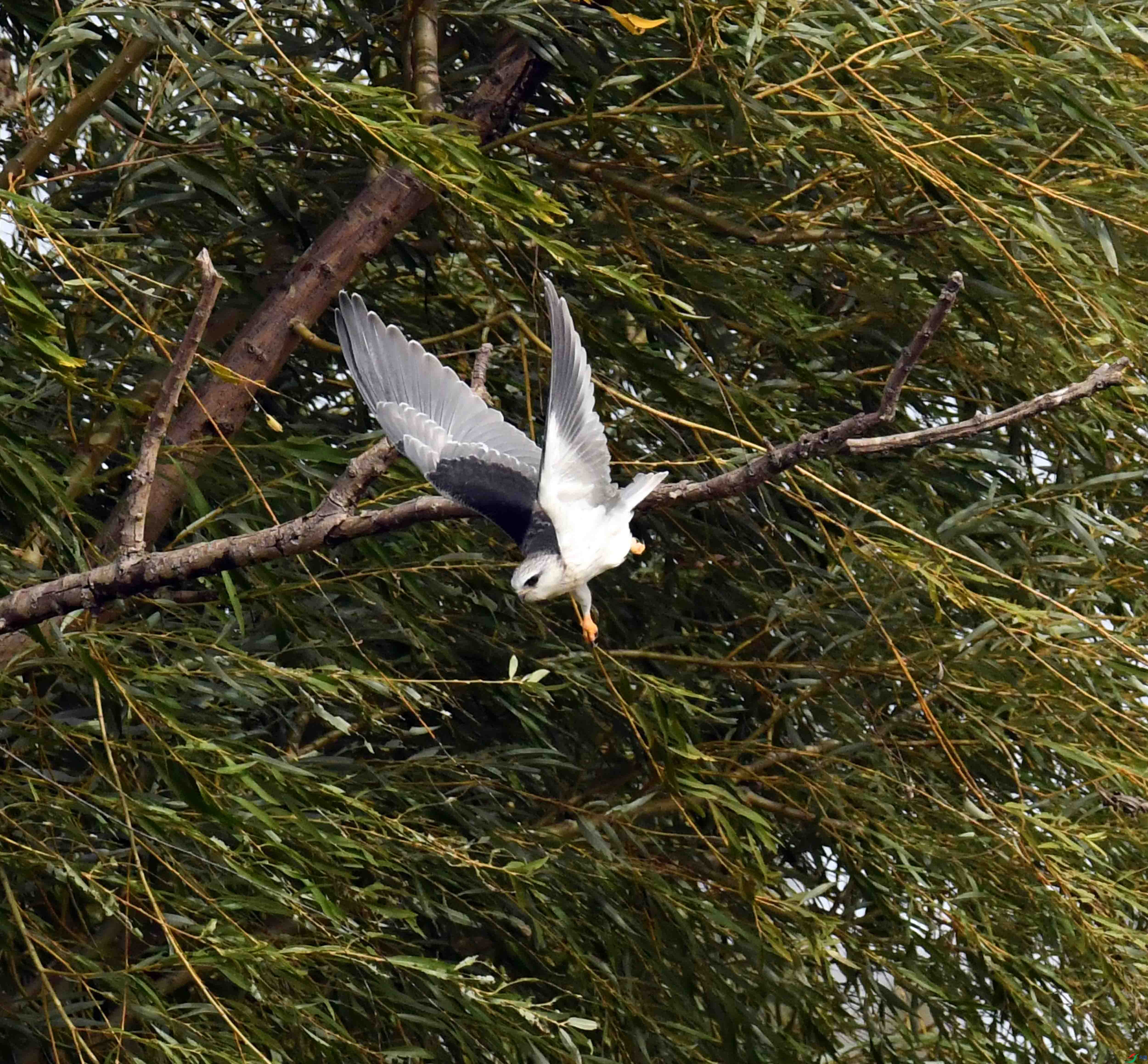 DSC_1208.JPG