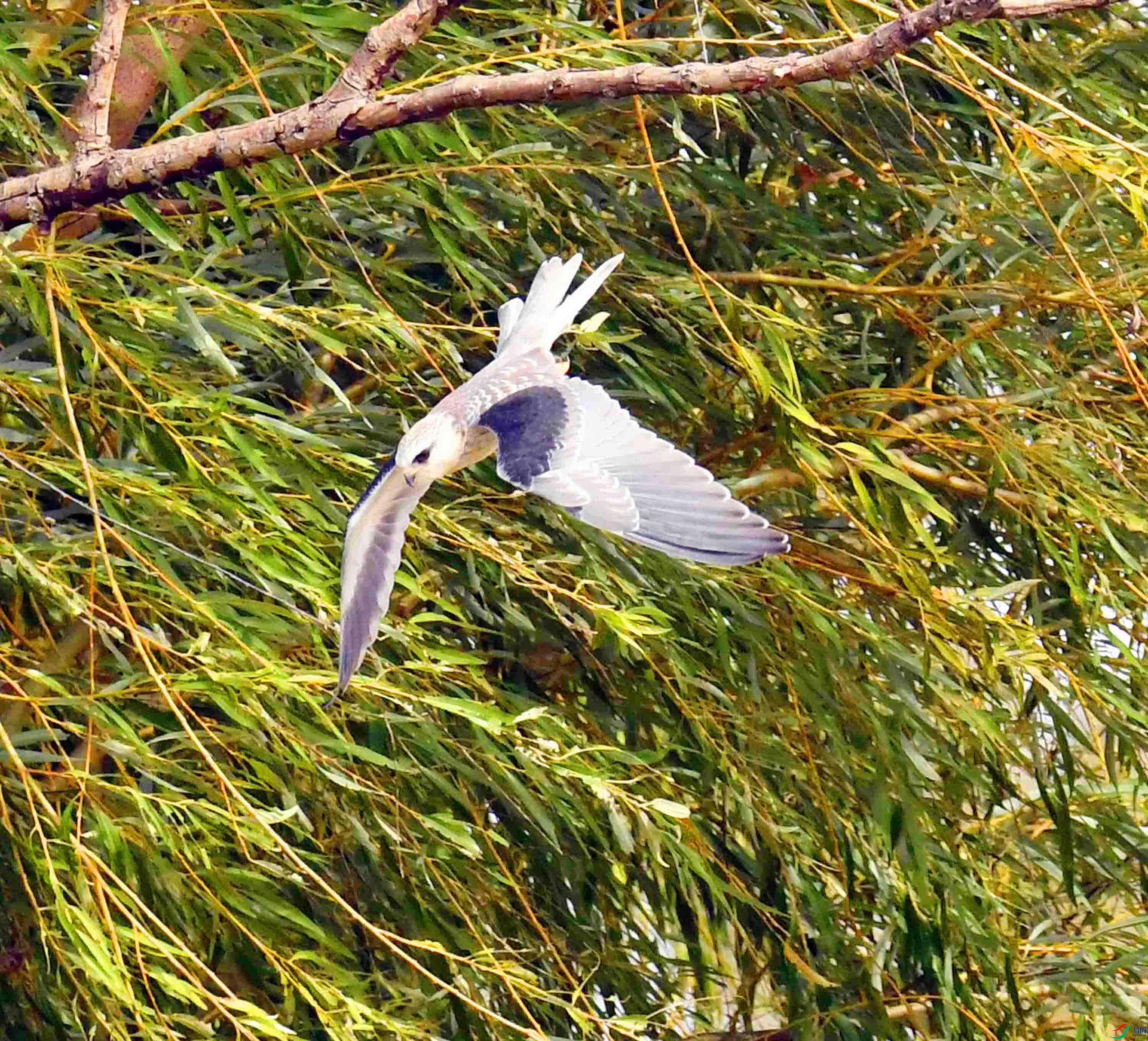 DSC_1209.JPG