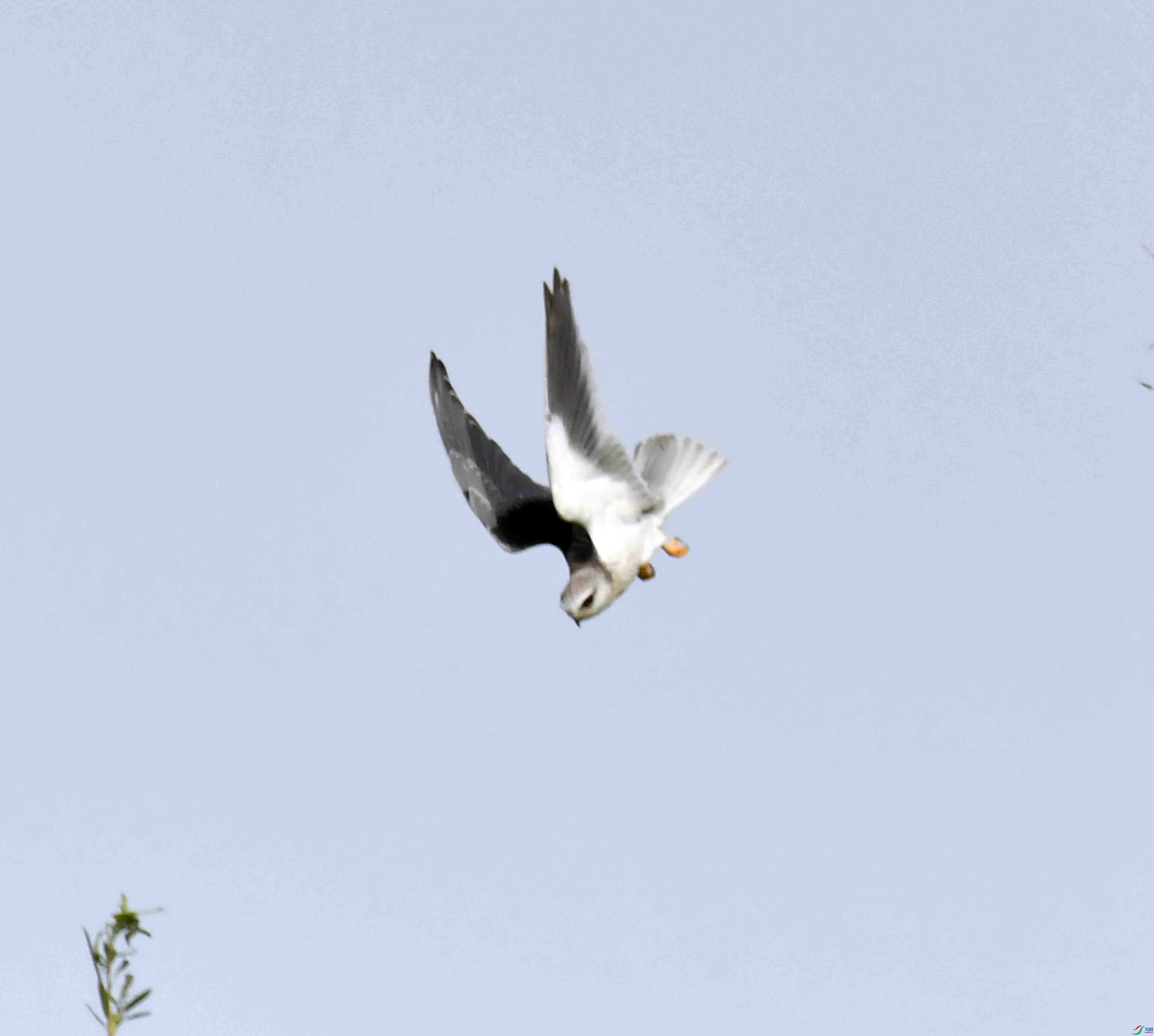 DSC_1220.JPG
