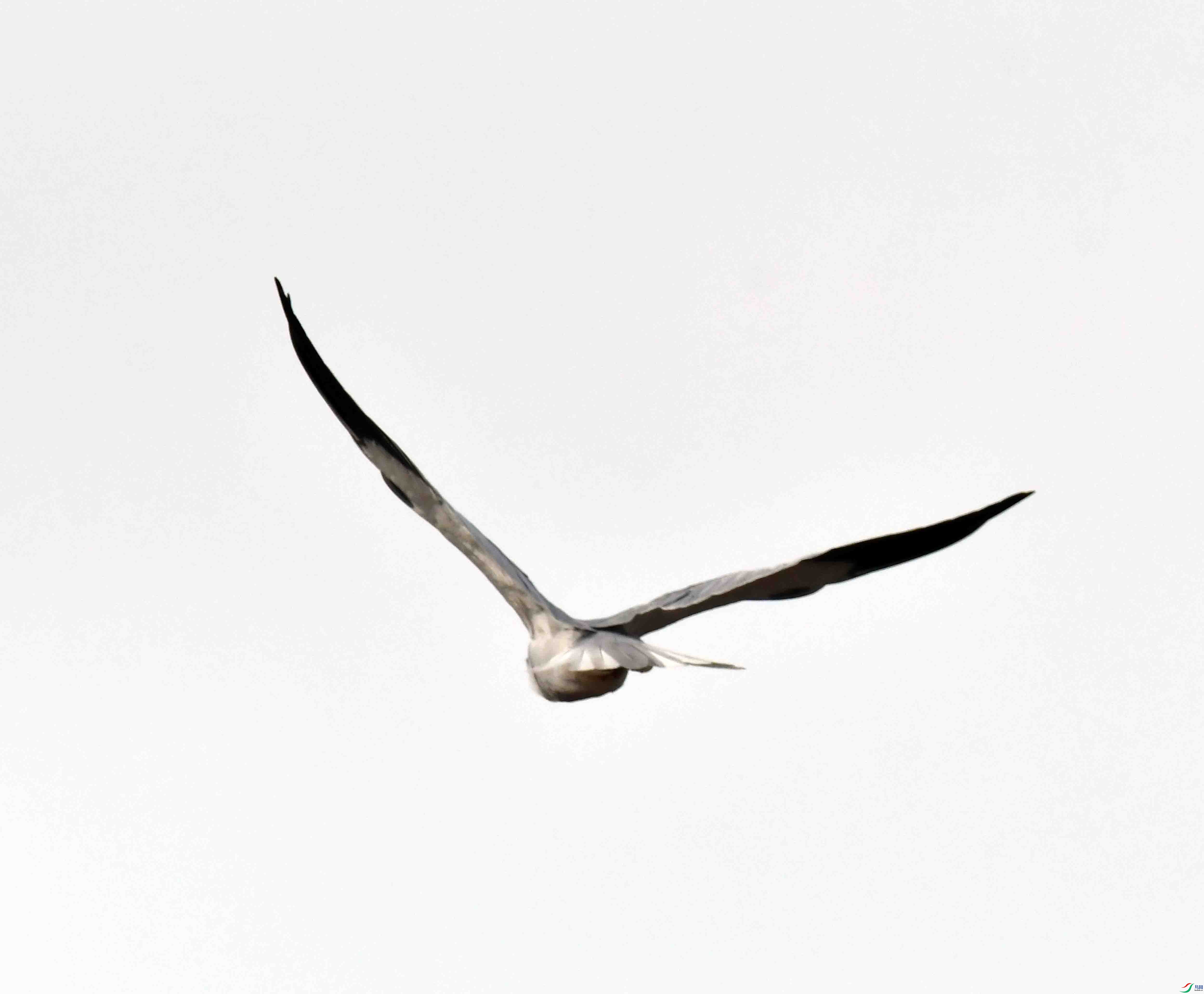 DSC_8174.JPG