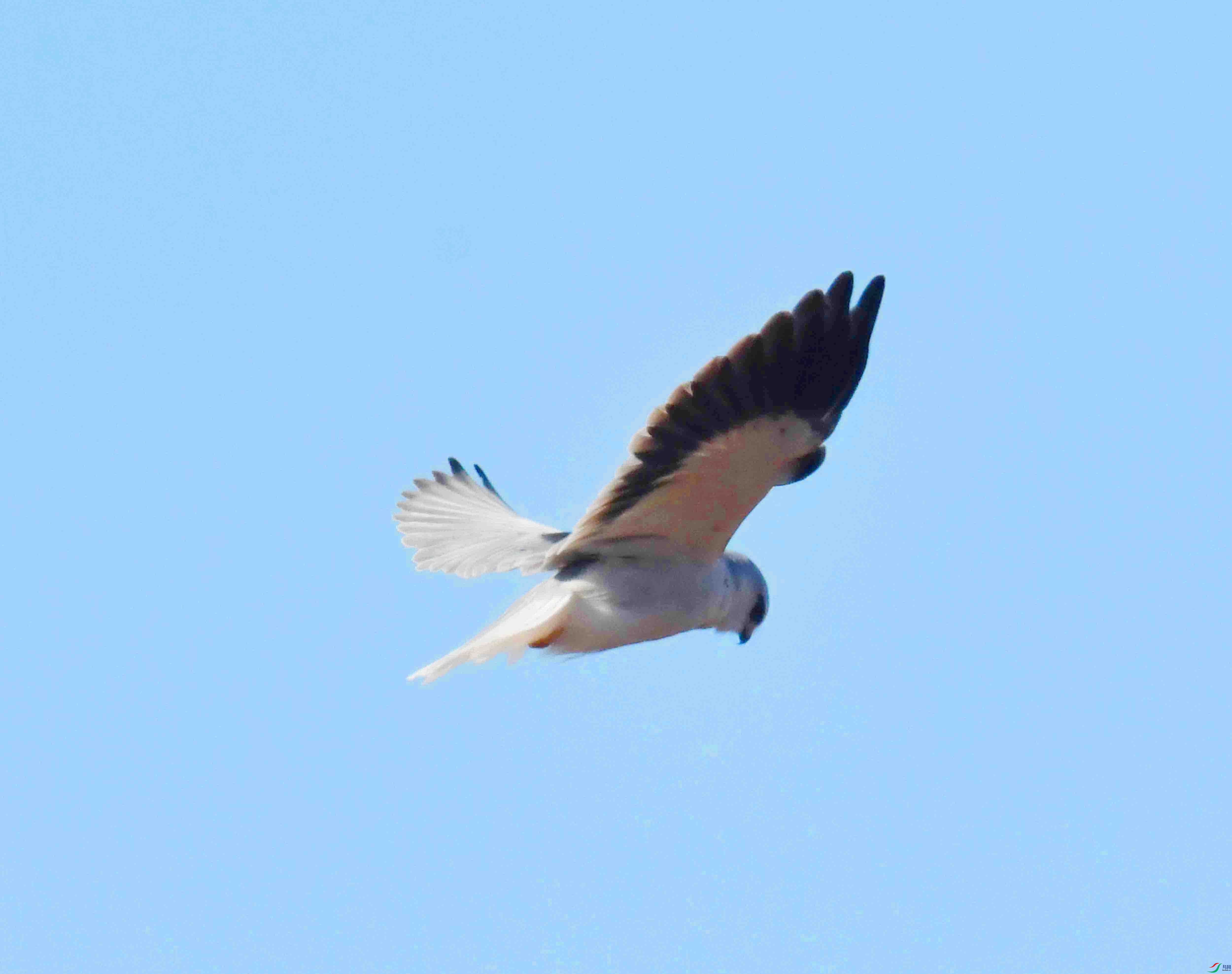 DSC_8735.JPG