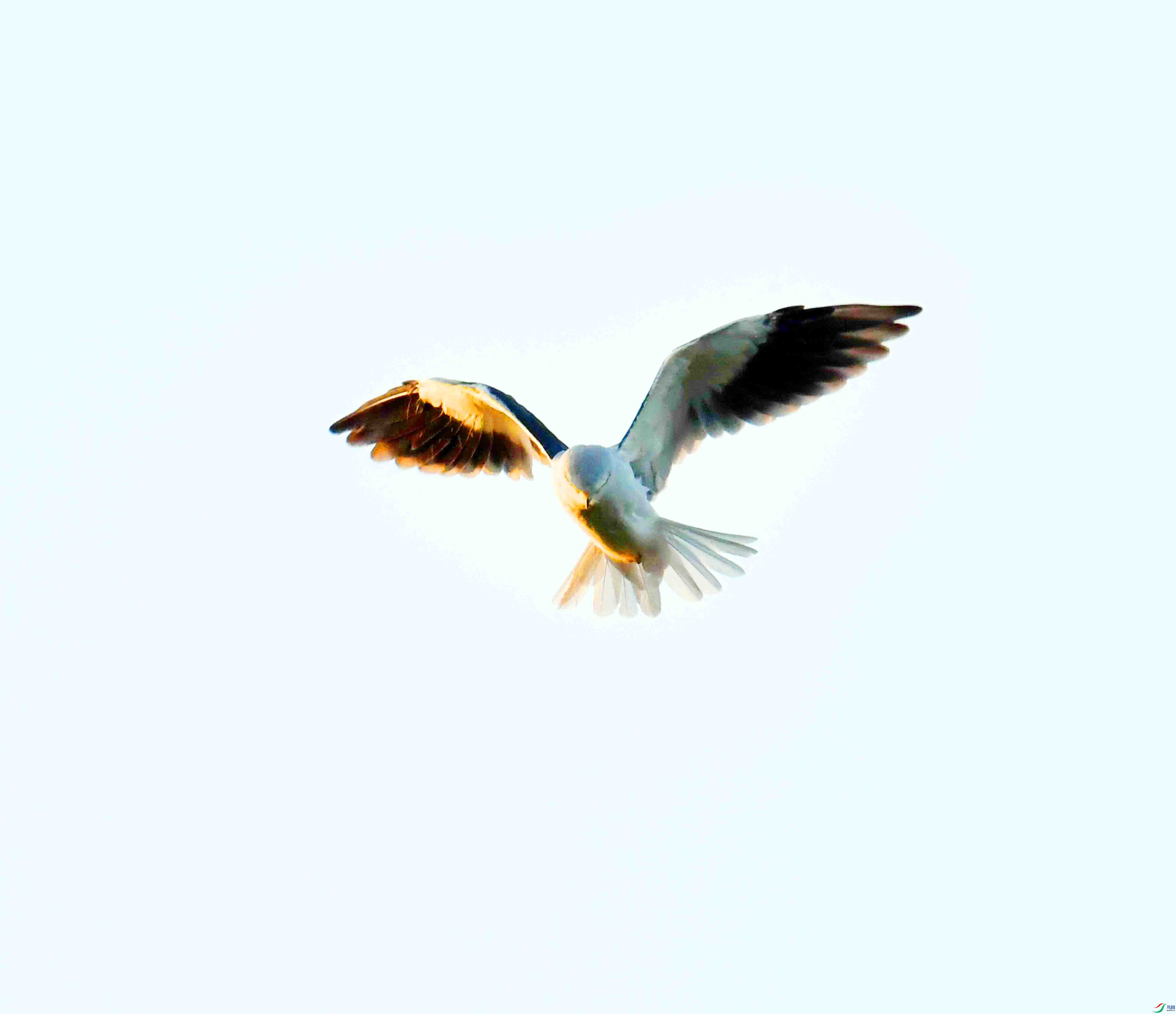 DSC_8764.JPG