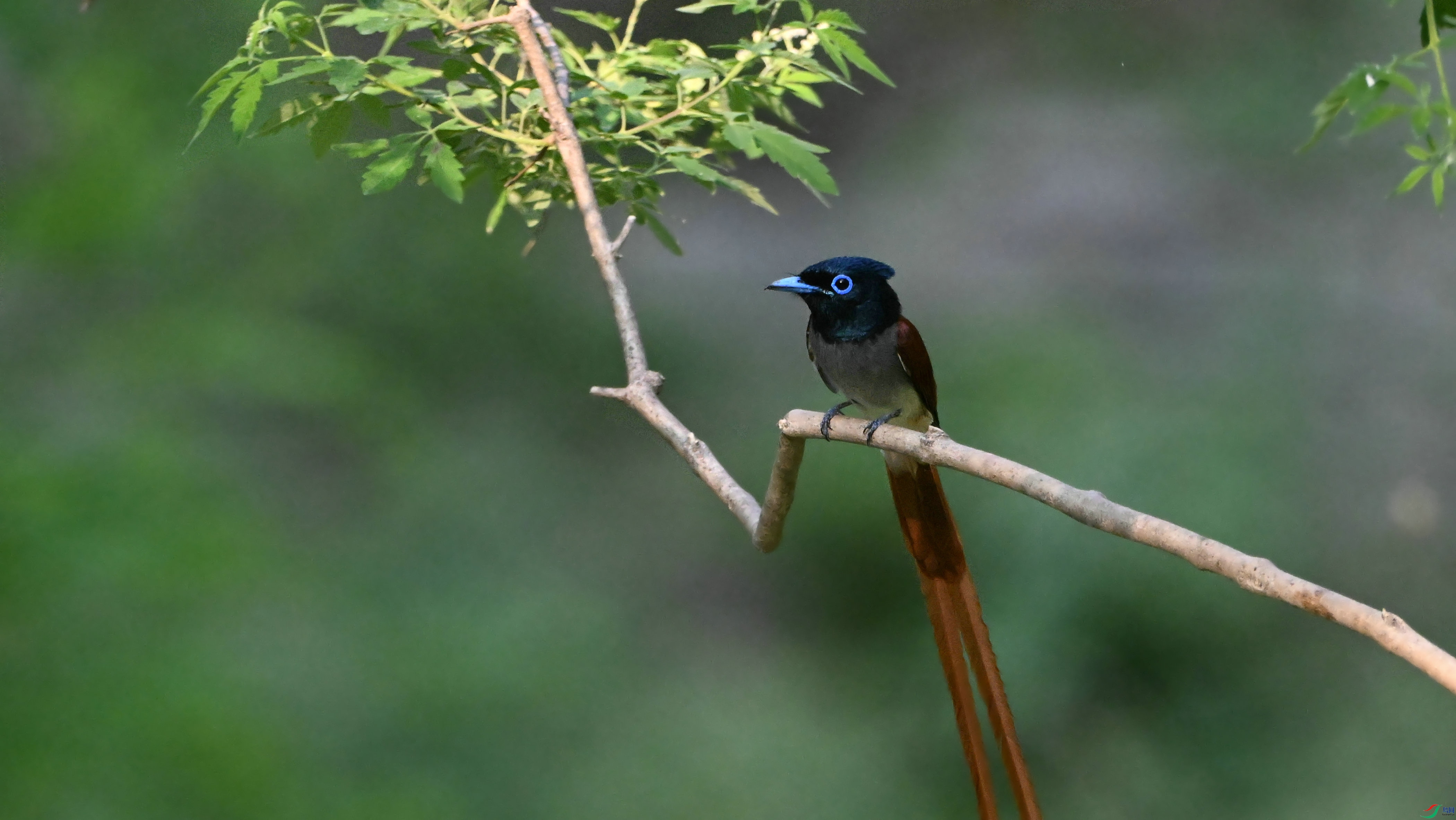 DSC_9101.JPG