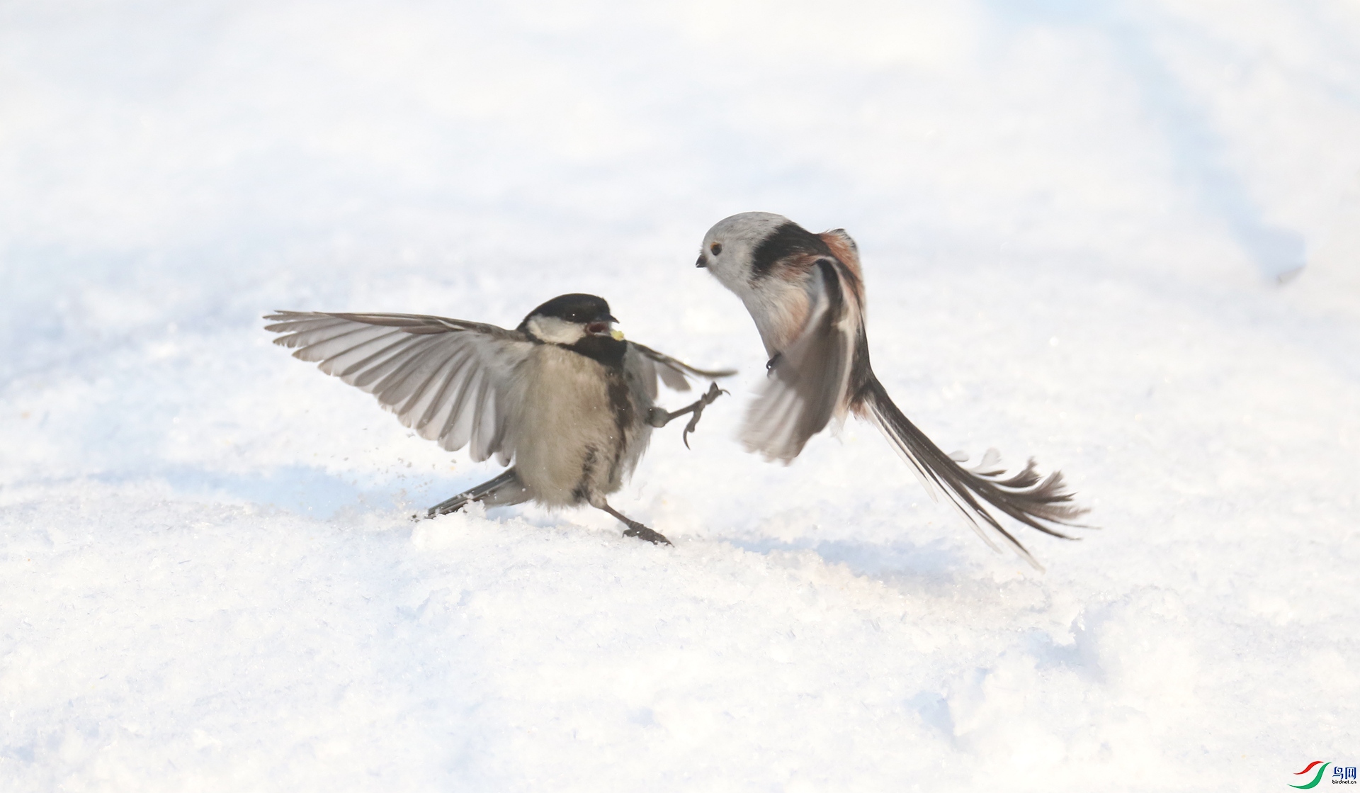 0G1A9450 ����.jpg