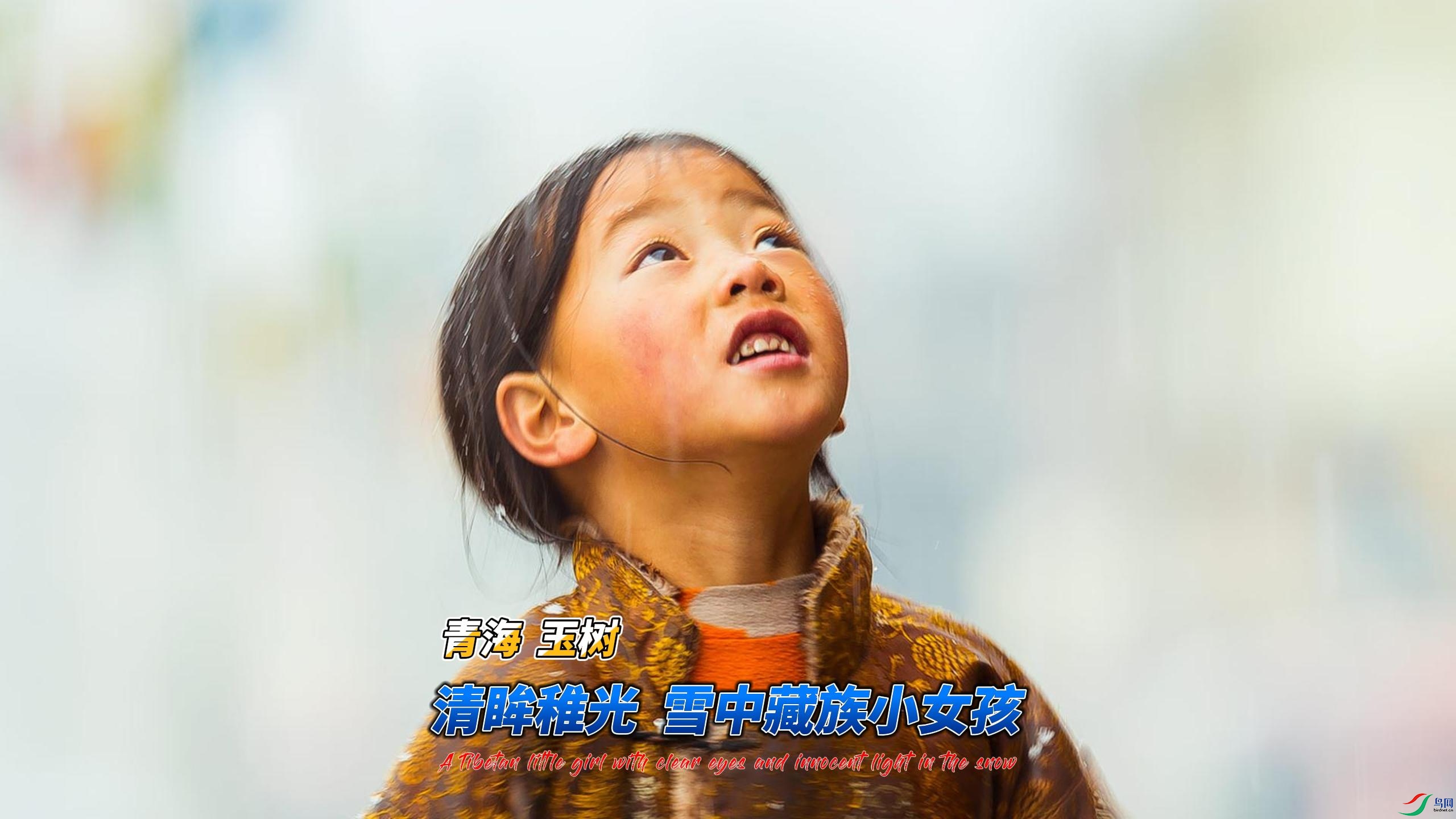 ���� �����ɹ�  ѩ�в���СŮ��-����.jpg