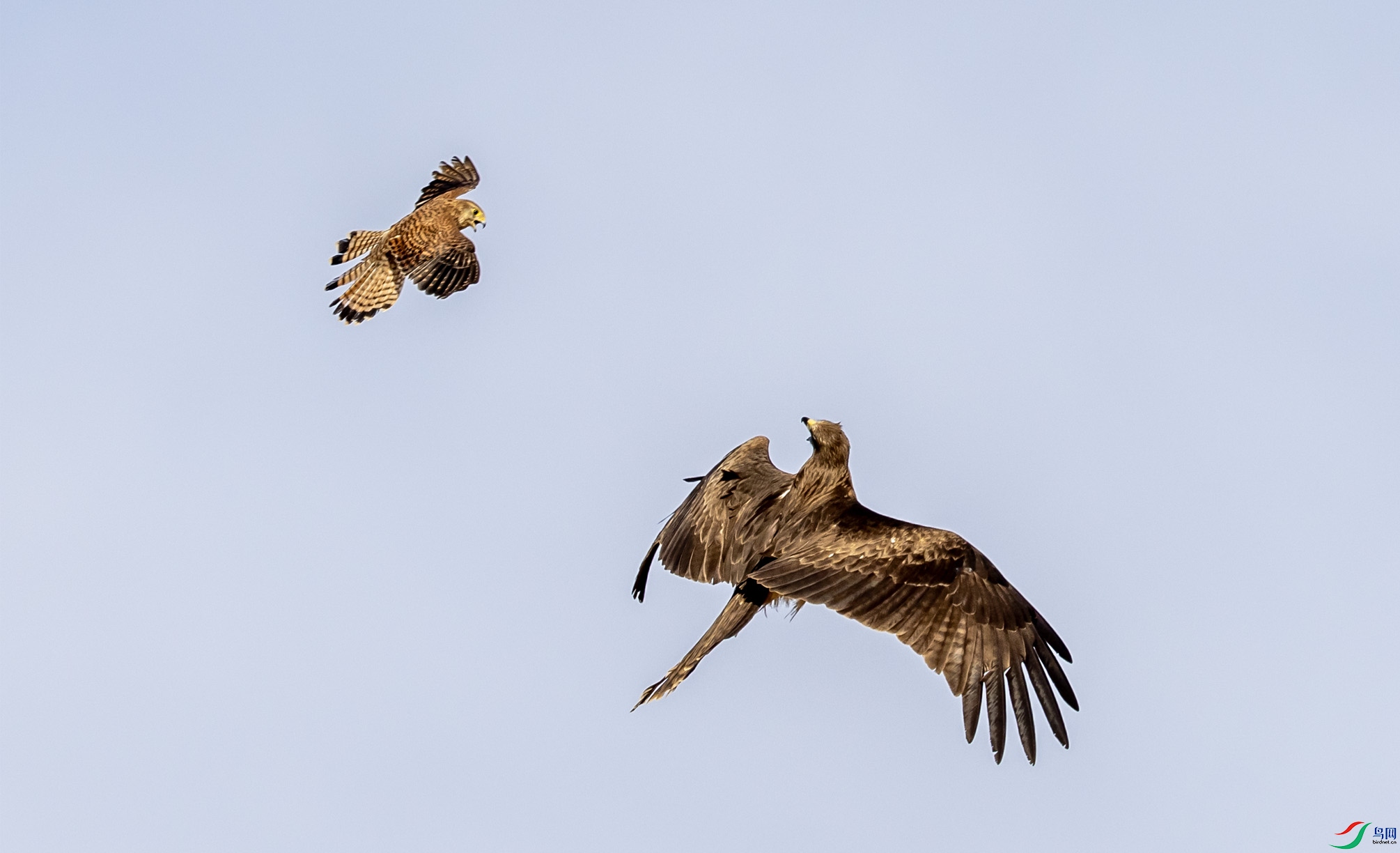 ��ս399 ����.jpg