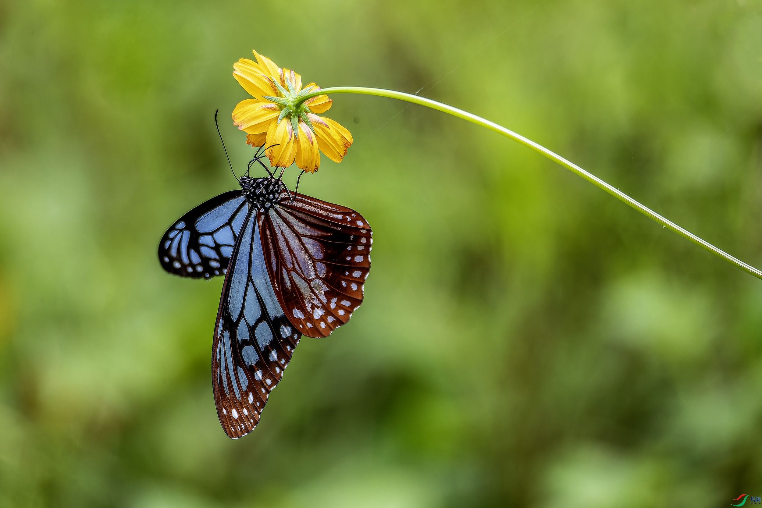 ���ߵ� (9)-1.jpg