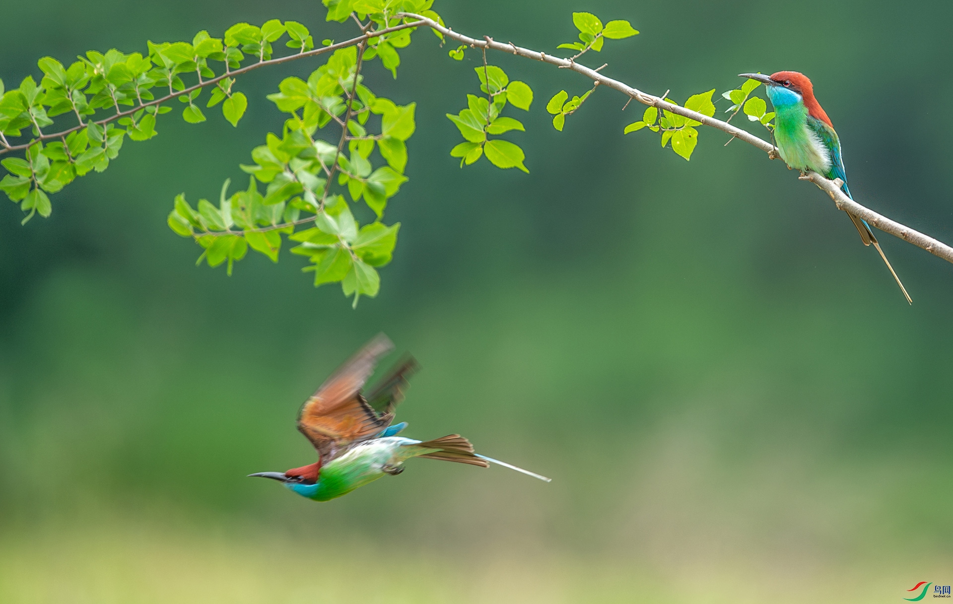 DSC_0342-����ǿ-NR.jpg