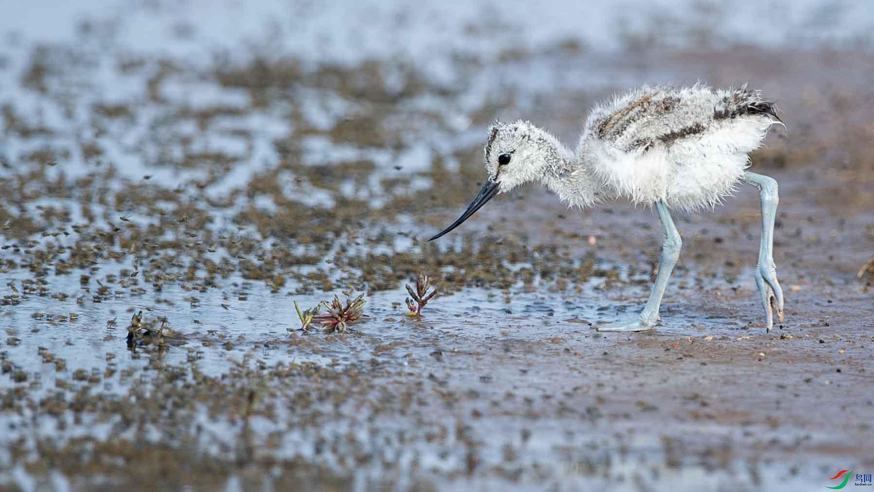 DSC_9853 ����.jpg