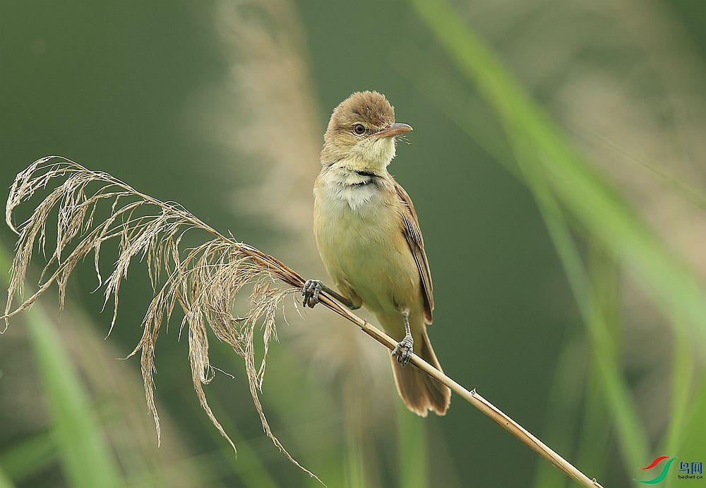 D72T4248.JPG