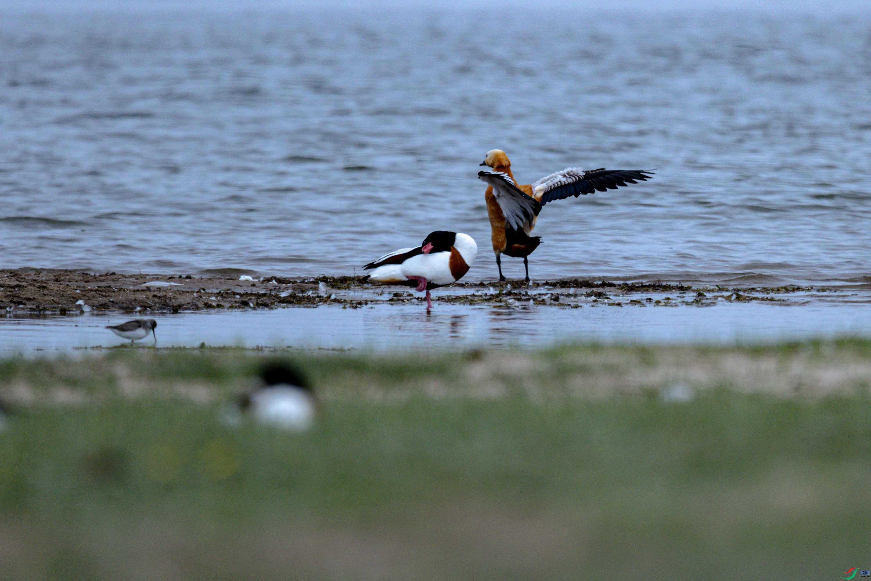 ��������1