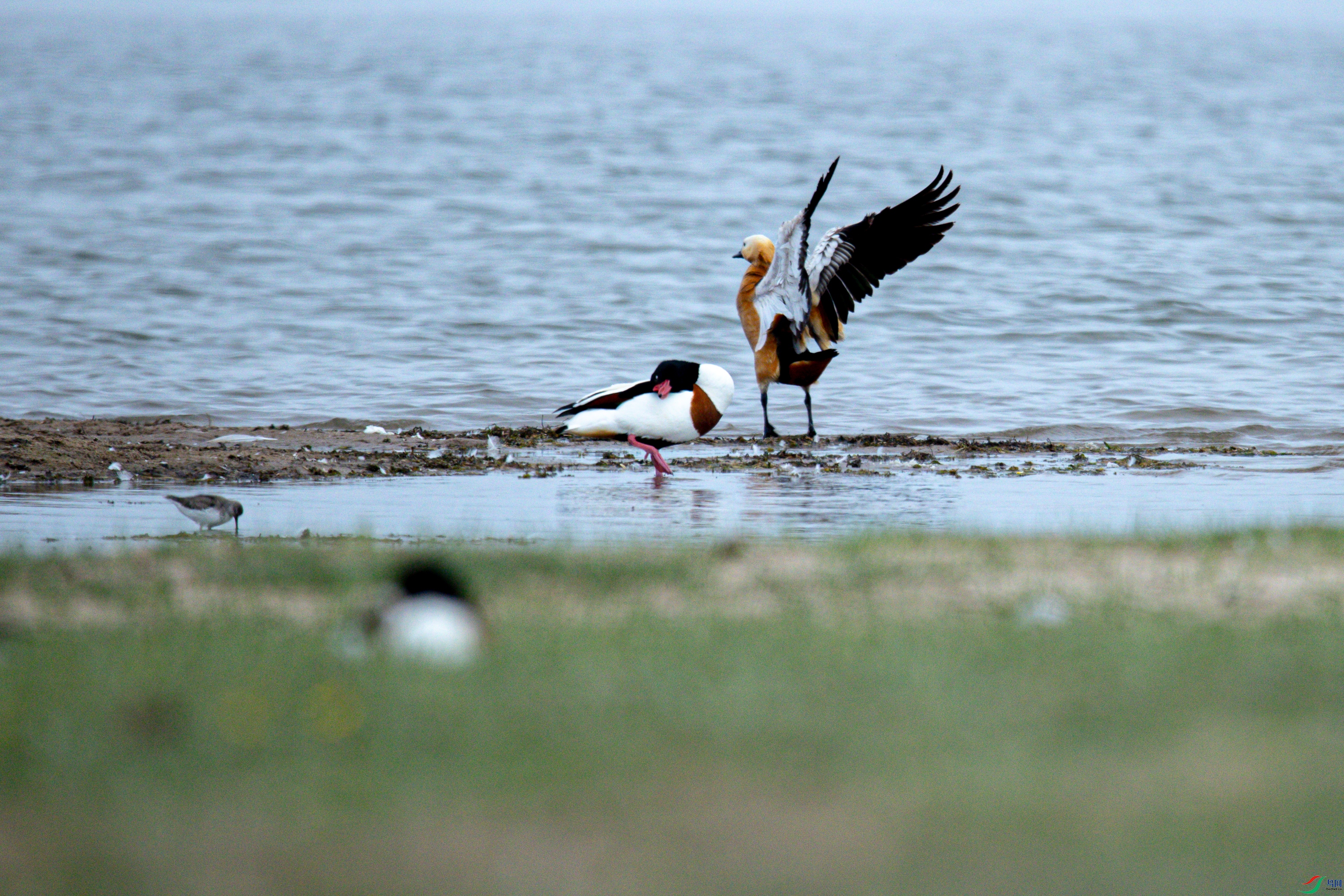 ��������2