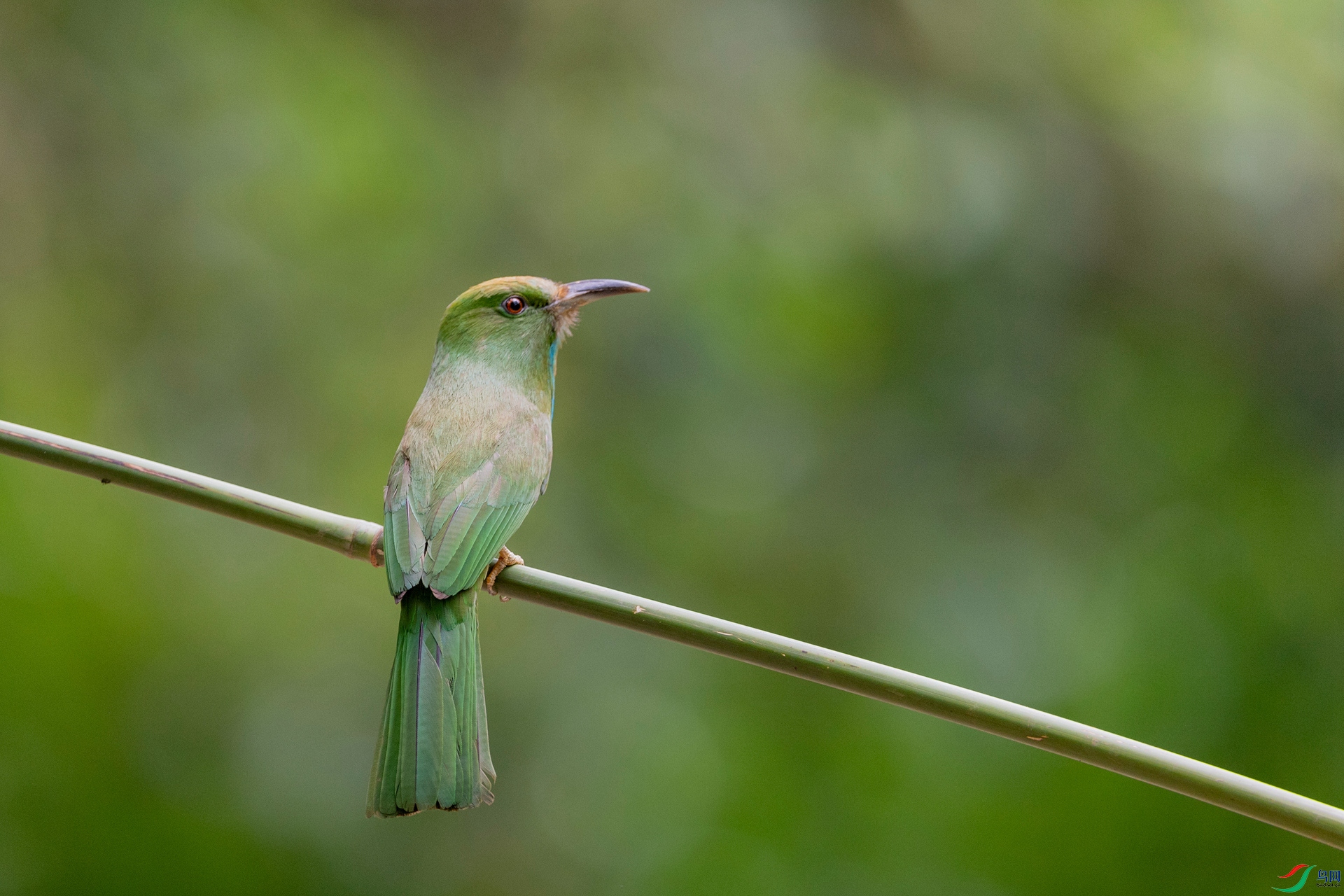 DSC_0084_1.jpg