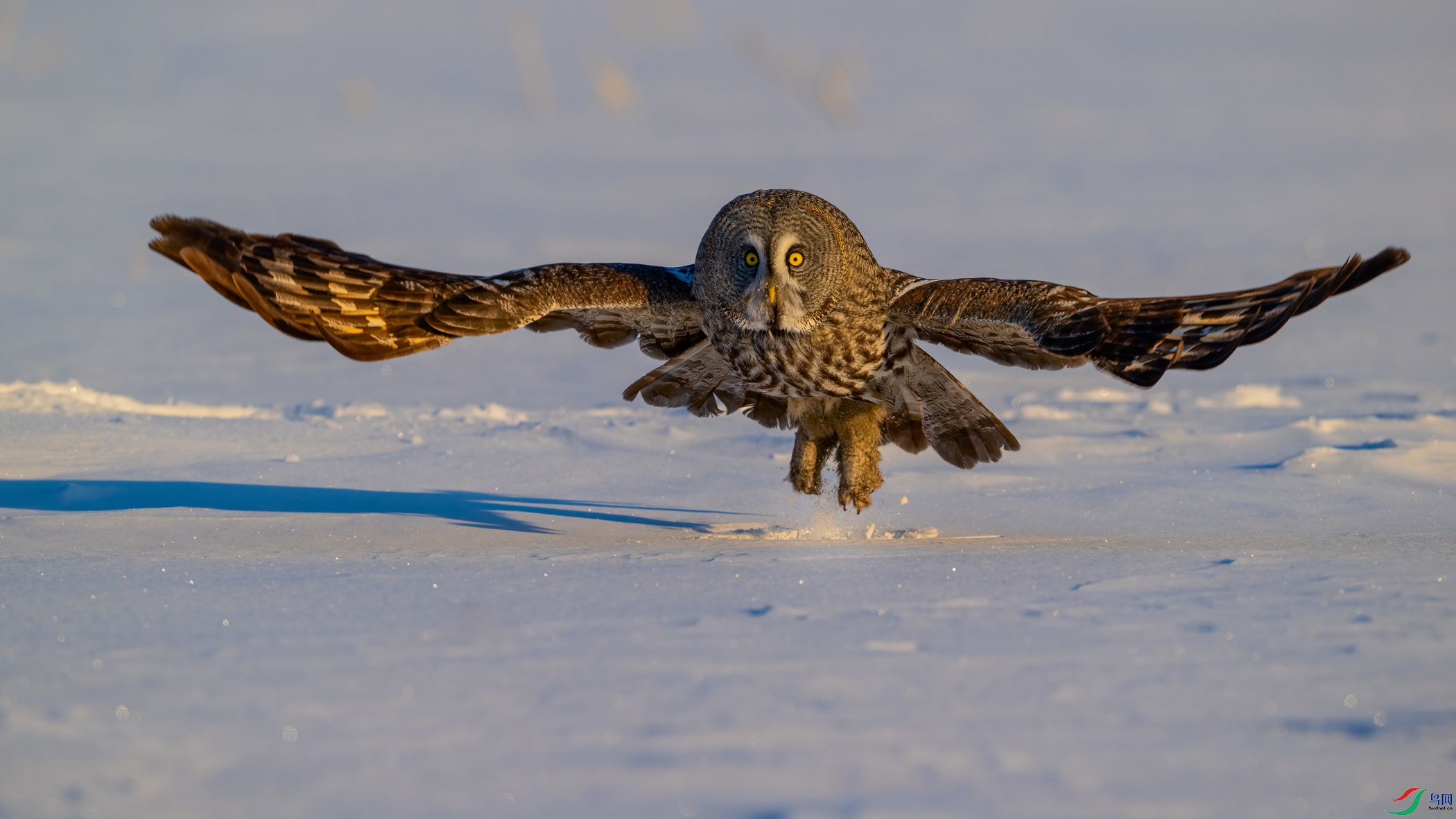 DSC_1354 ����00101.jpg