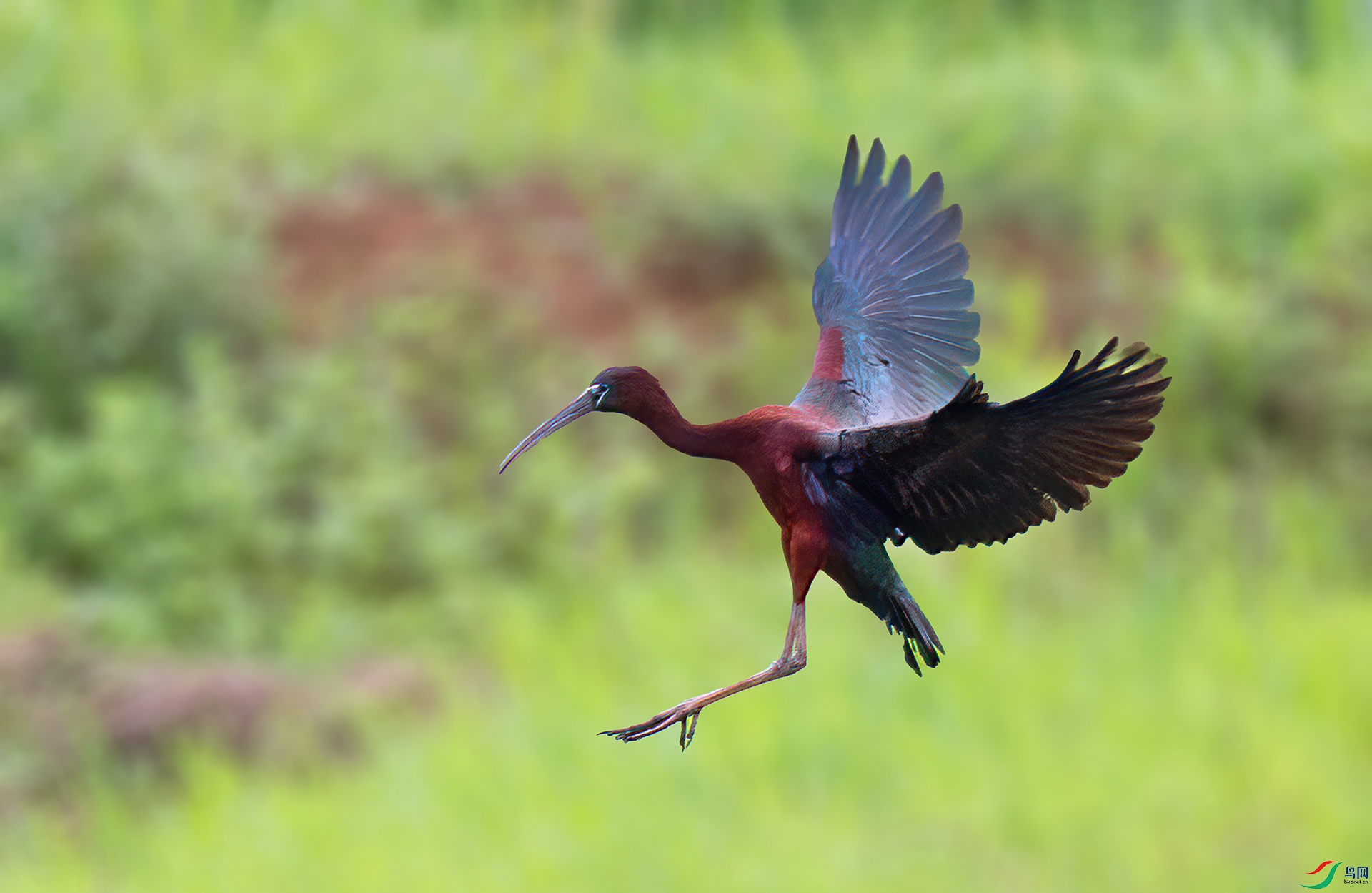 060A7201 ����-Sh---1 .jpg