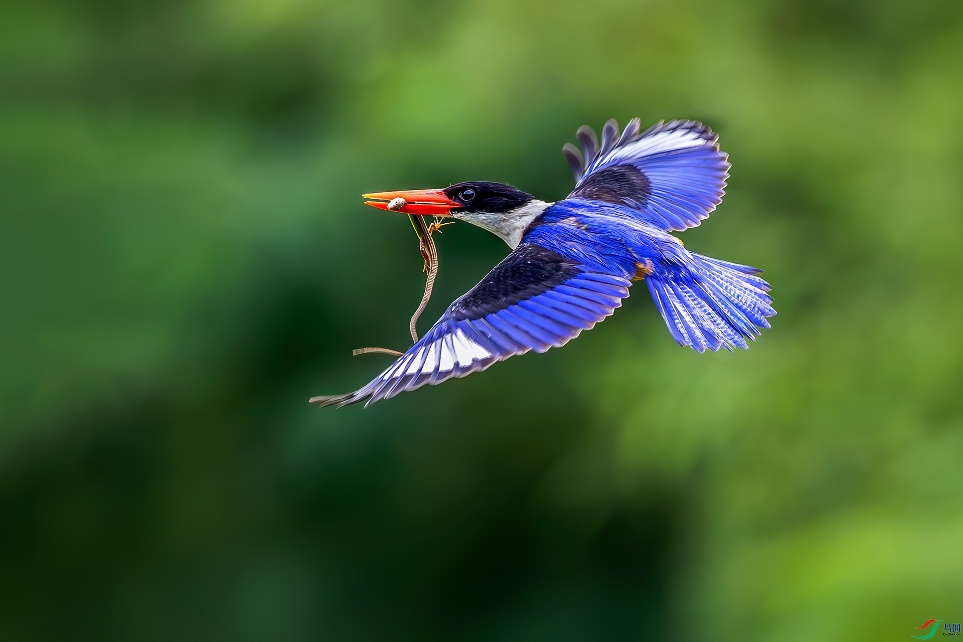 0D1A8498-8.jpg