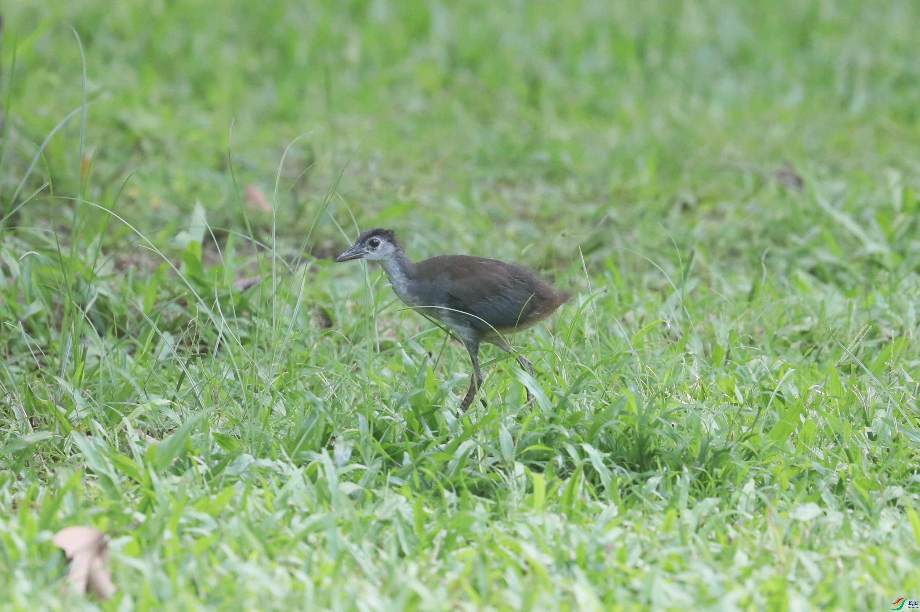 BL7A1022.JPG