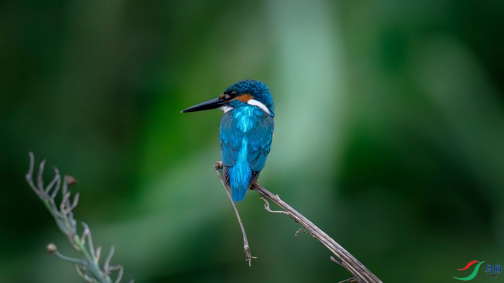 DSC_5266_����.jpg