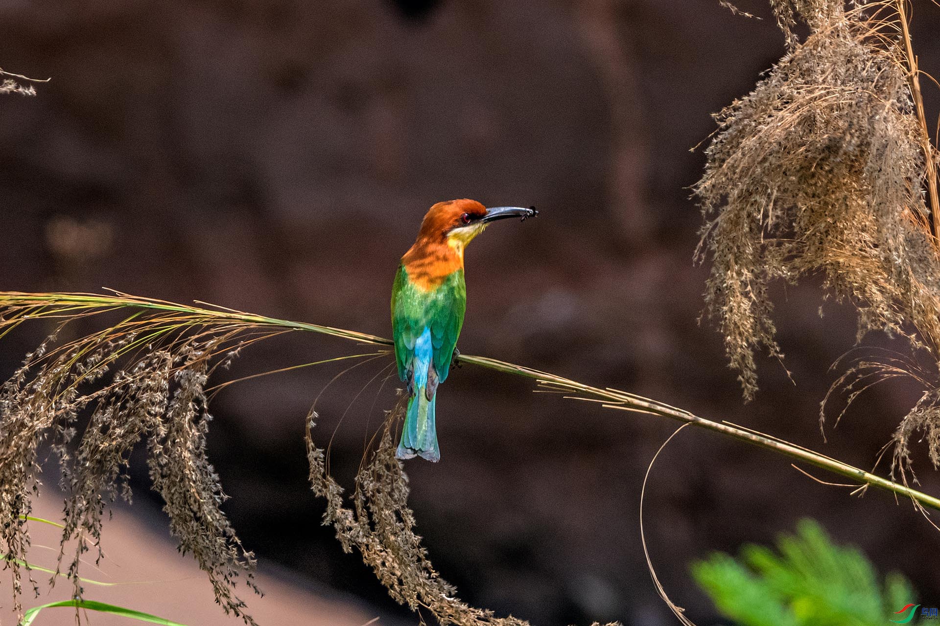 _AUU3203 ��ͷ�仢(25.5.10).jpg