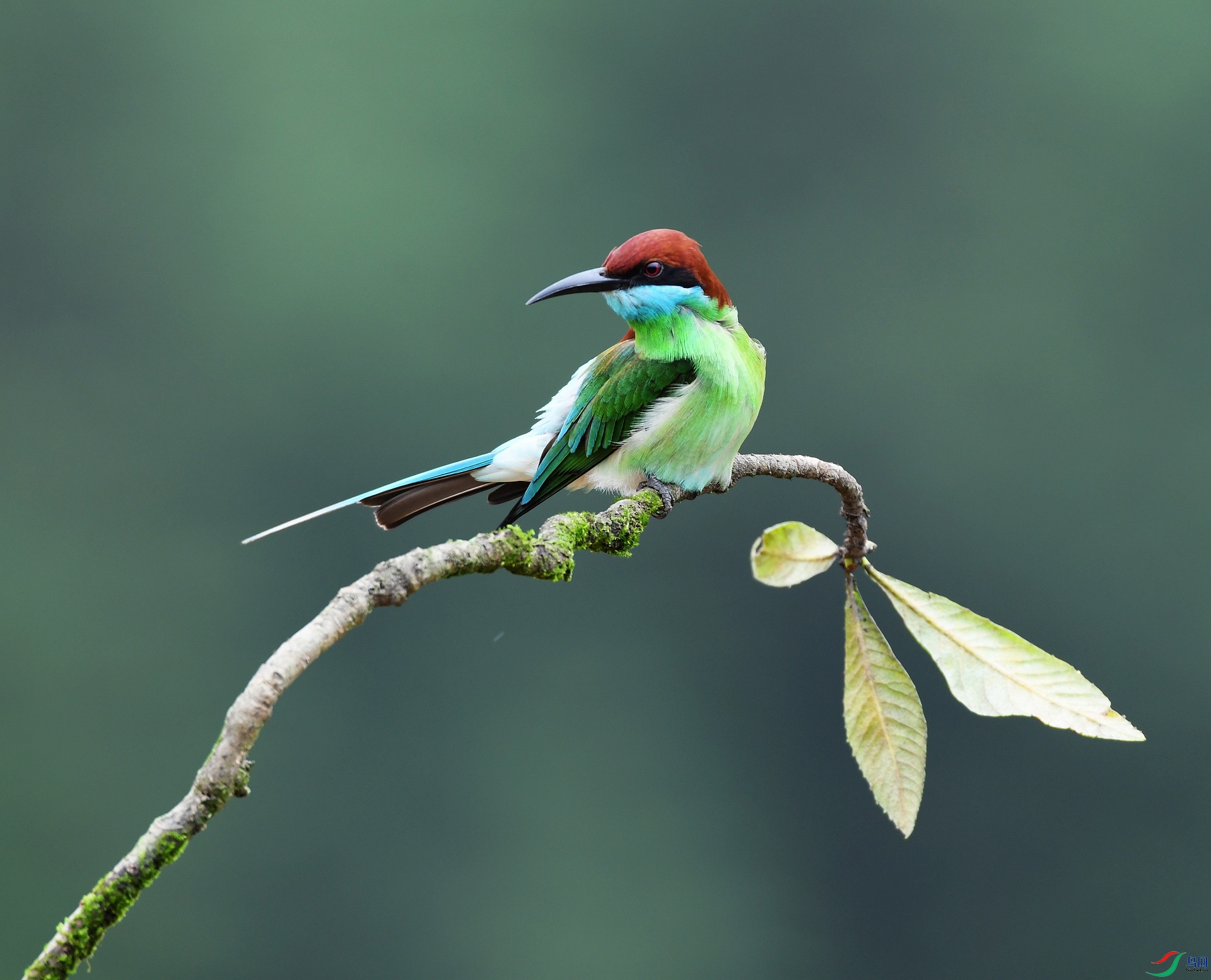 DSC_5791.jpg