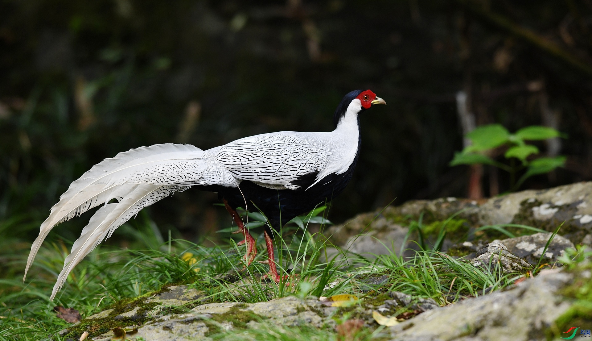 DSC_6836.jpg