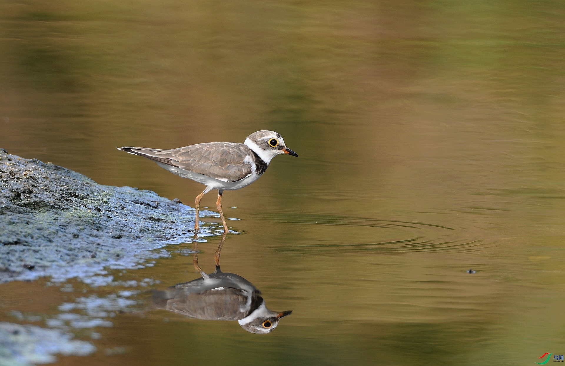 DSC_6636.jpg