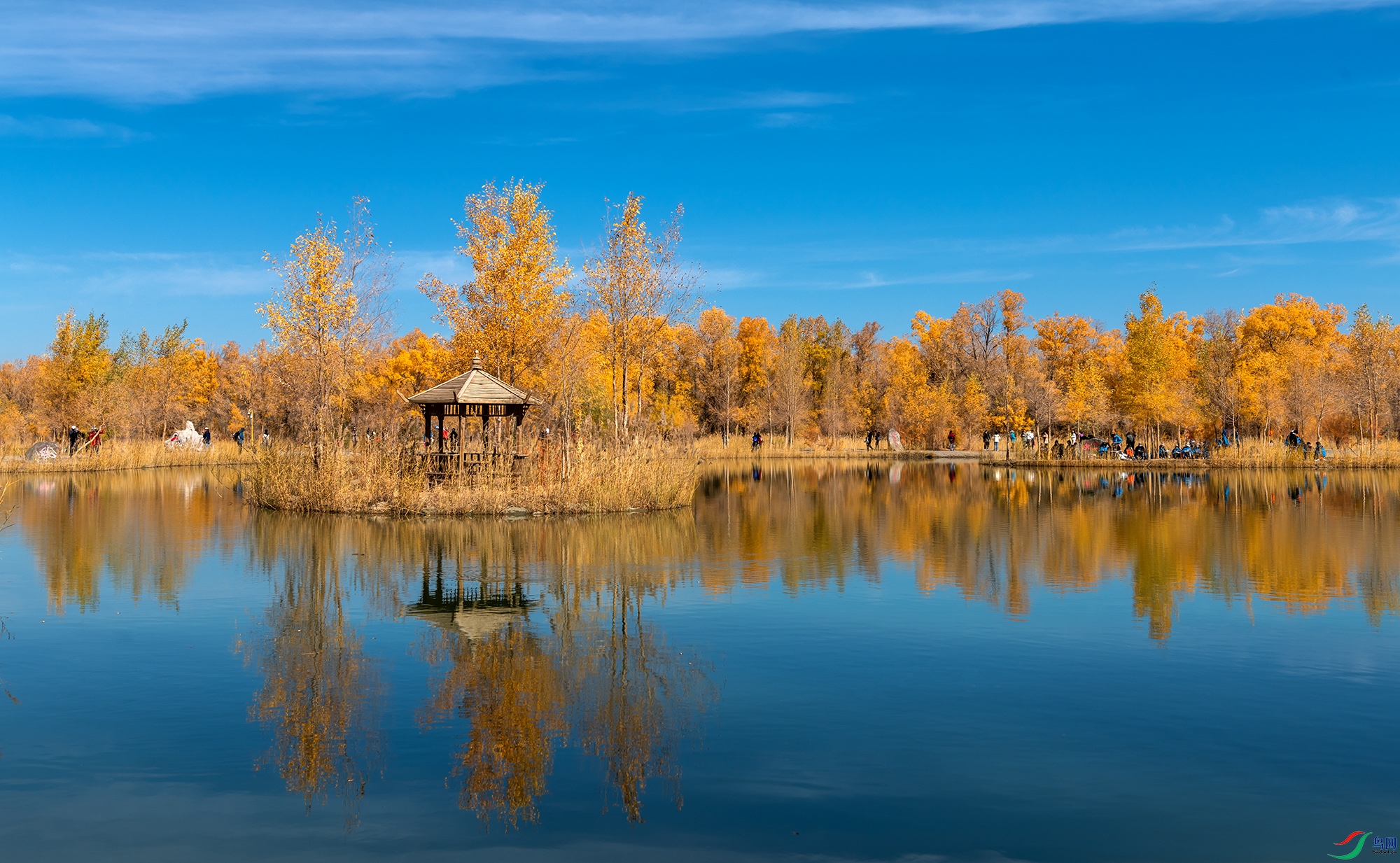 DSC_5068 ���� 2.jpg