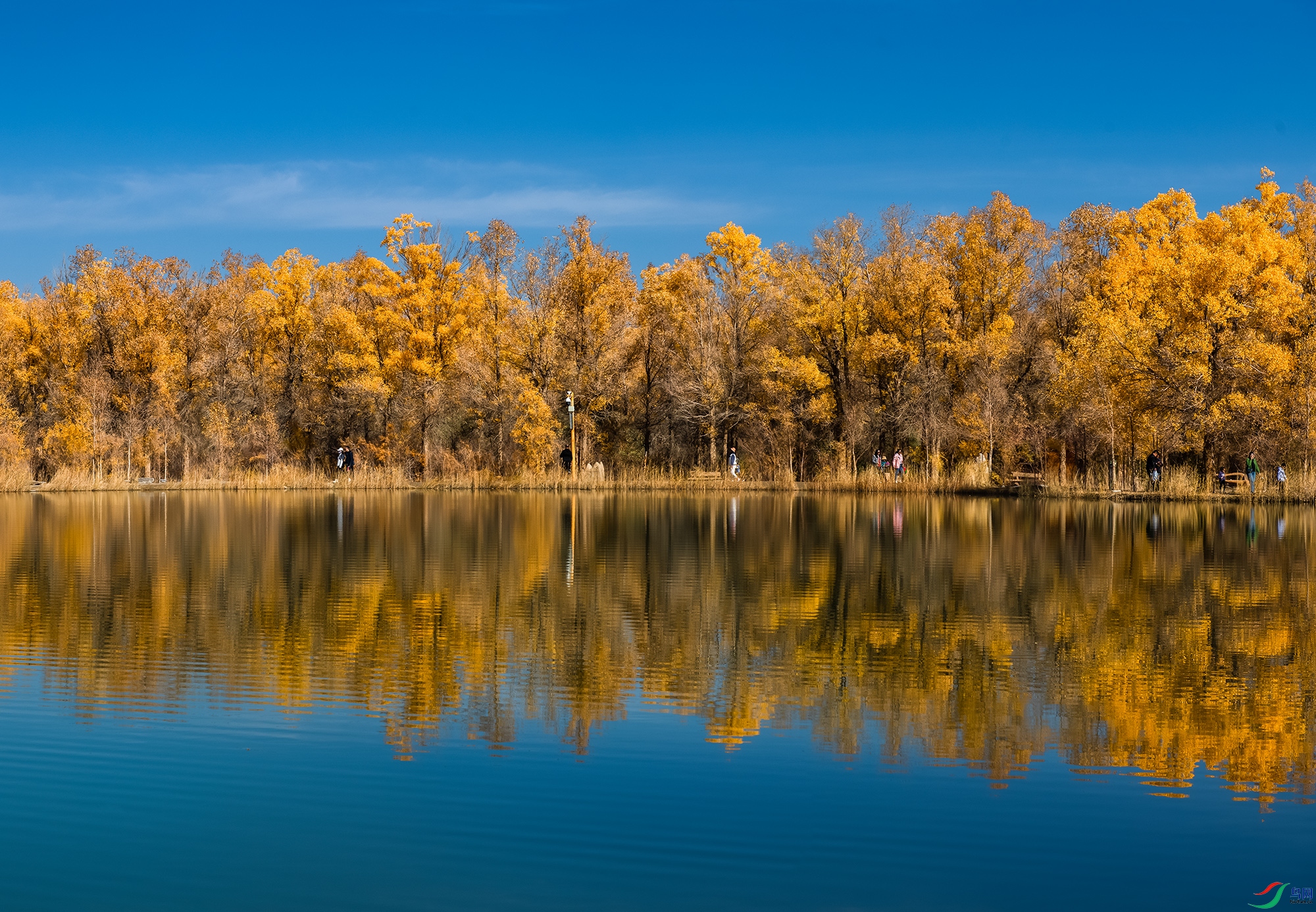 δ����_ȫ��ͼ5110-5111aa ����.jpg