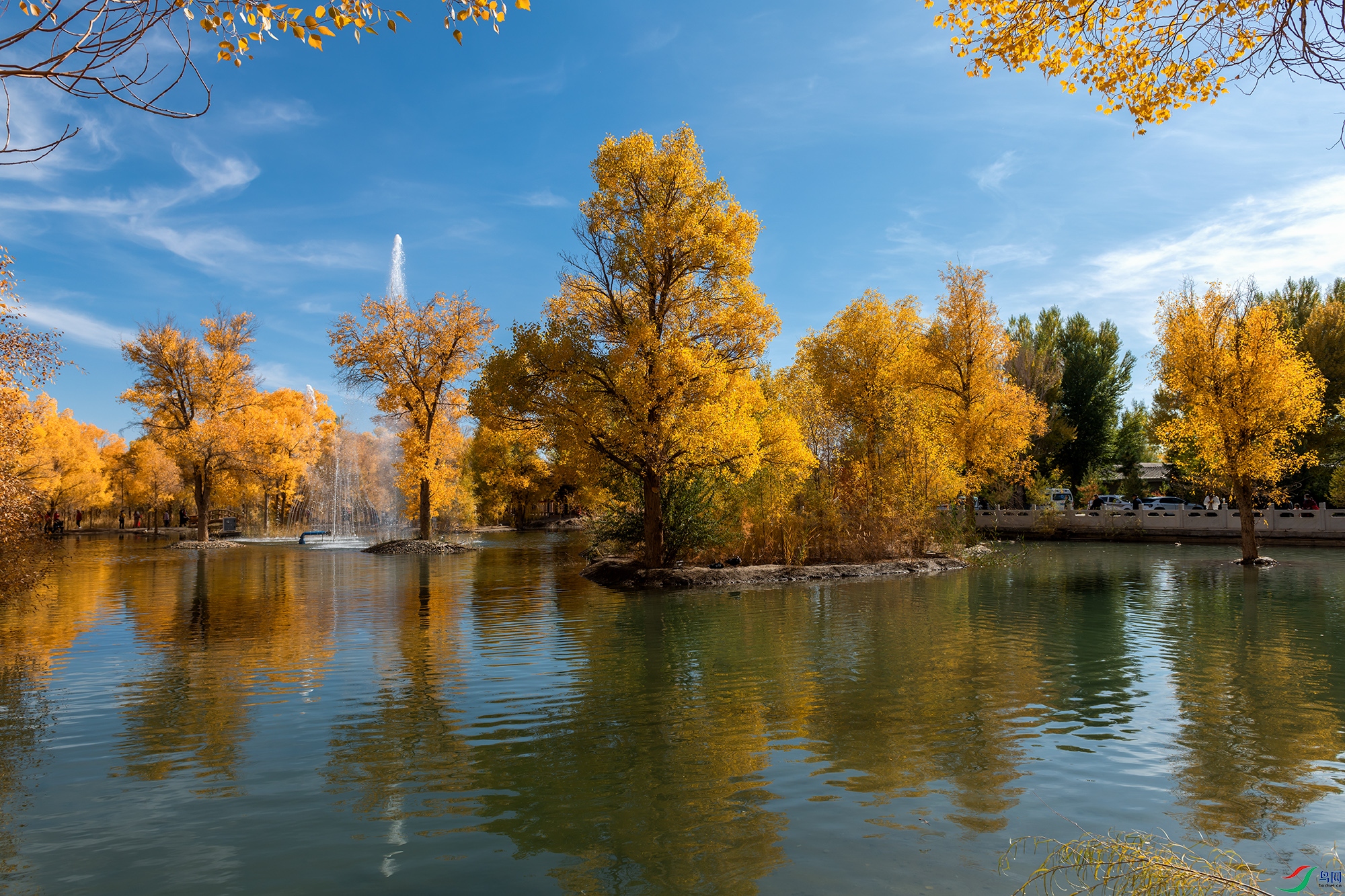 DSC_5059 ���� 2.jpg