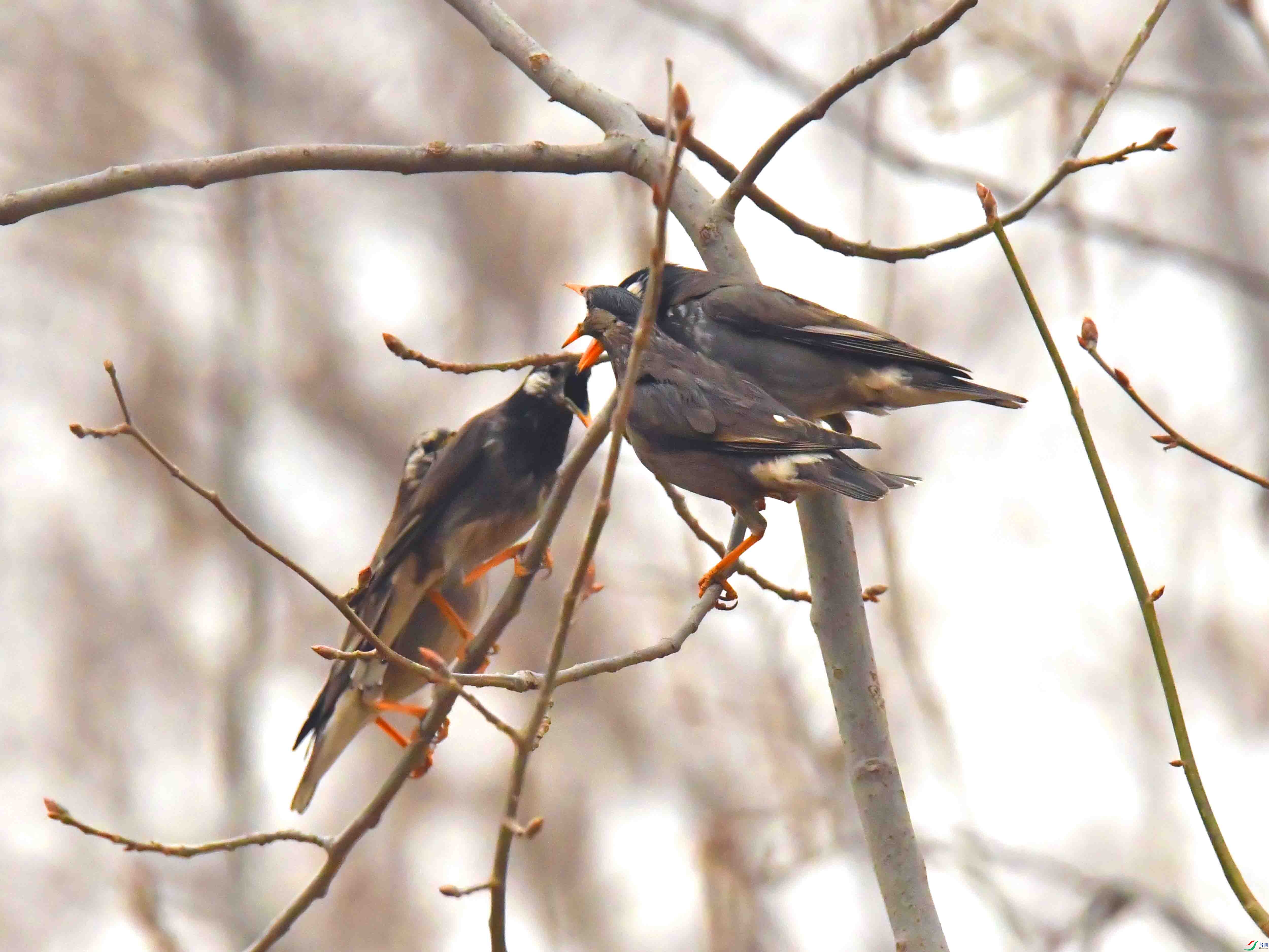 DSC_3131.JPG