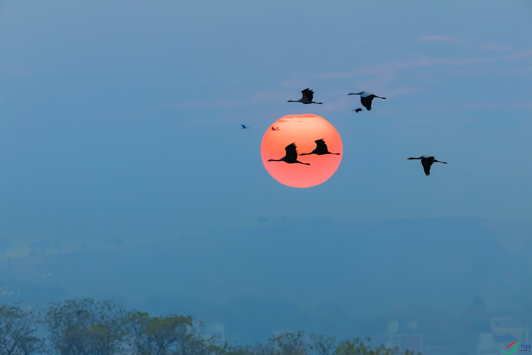 �׺�----������