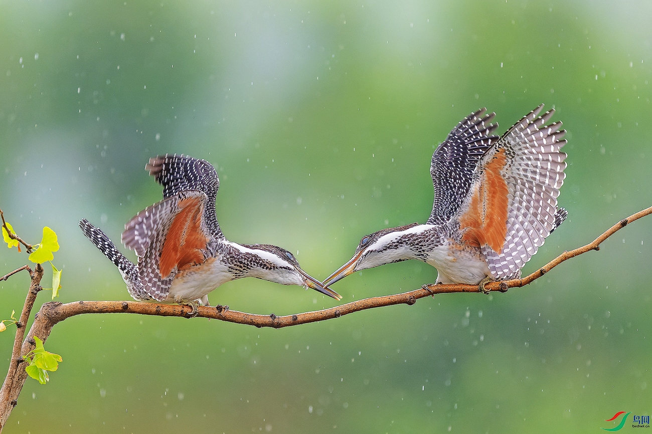 DSC_7570-NEF_DxO_DeepPRIME ���� 2.jpg