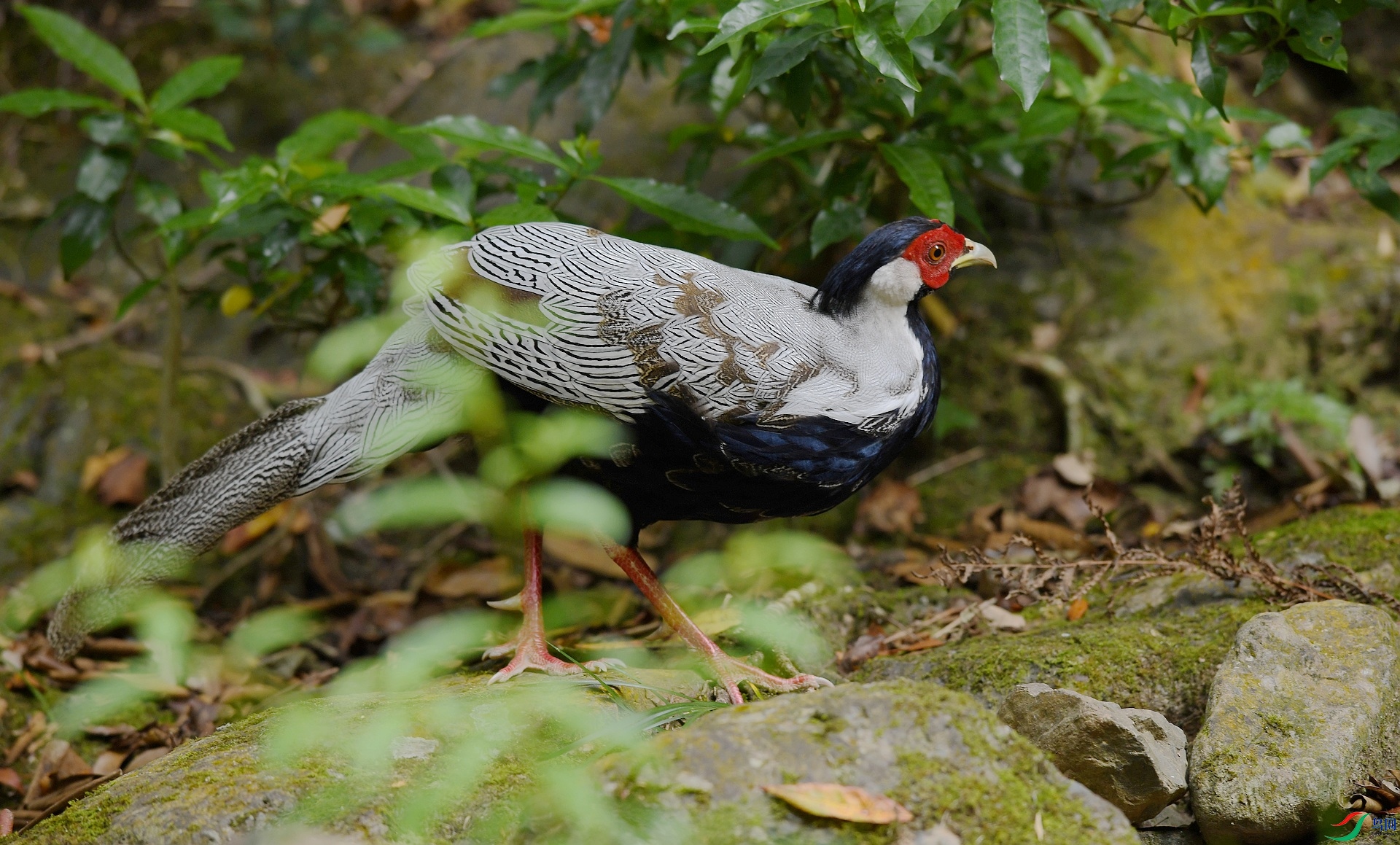 DSC_9252.jpg