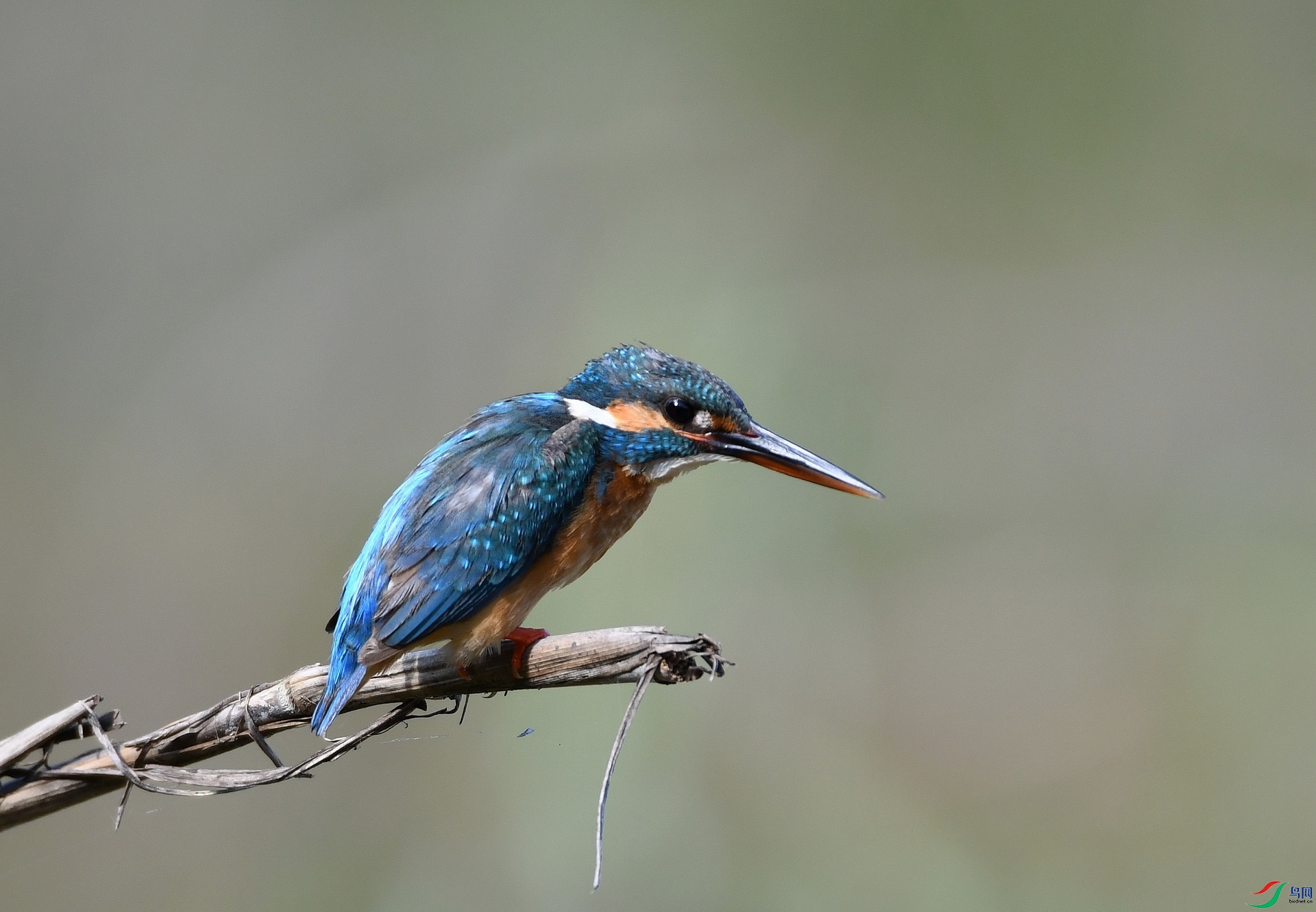 DSC_9291.jpg