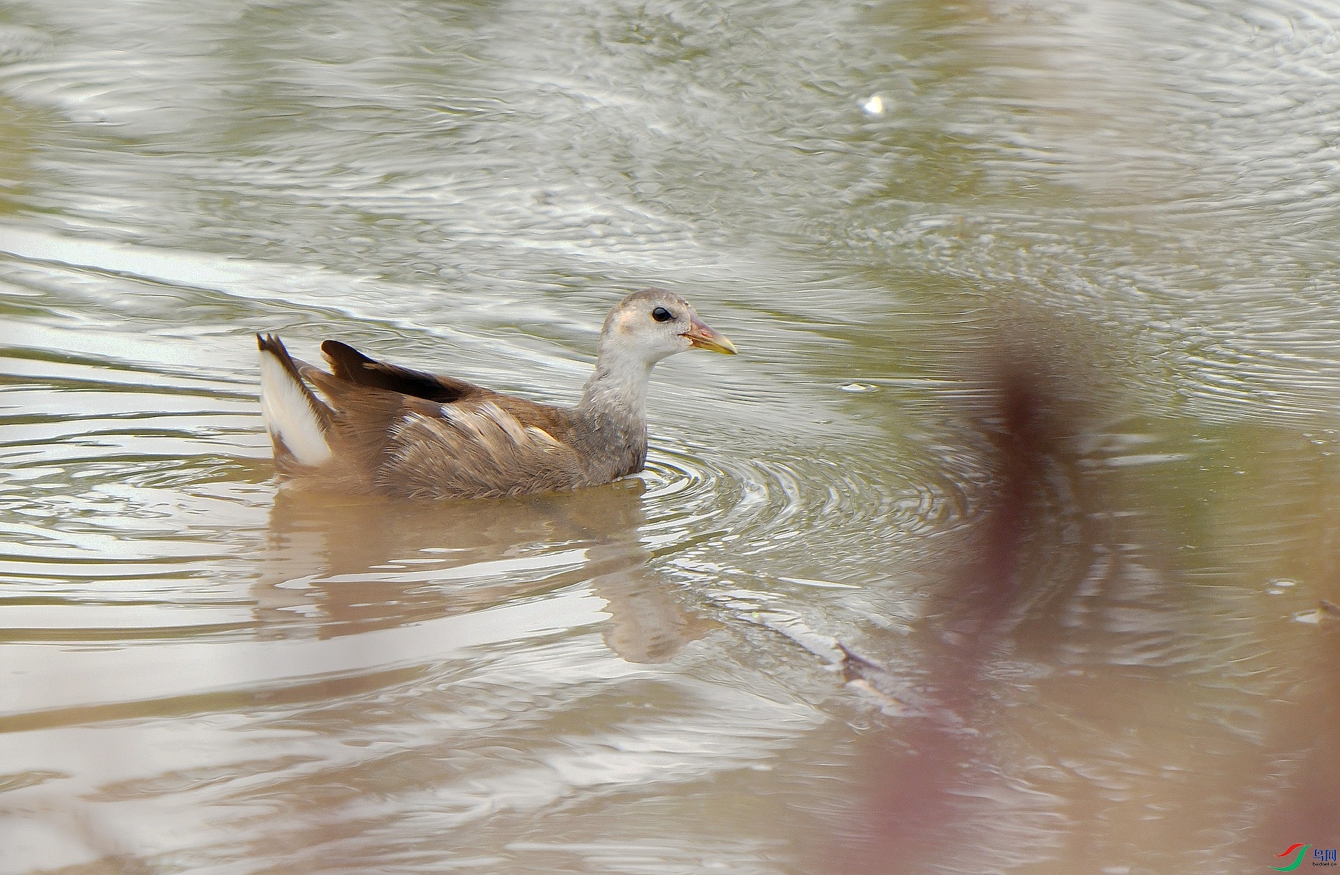 DSC_9923.jpg