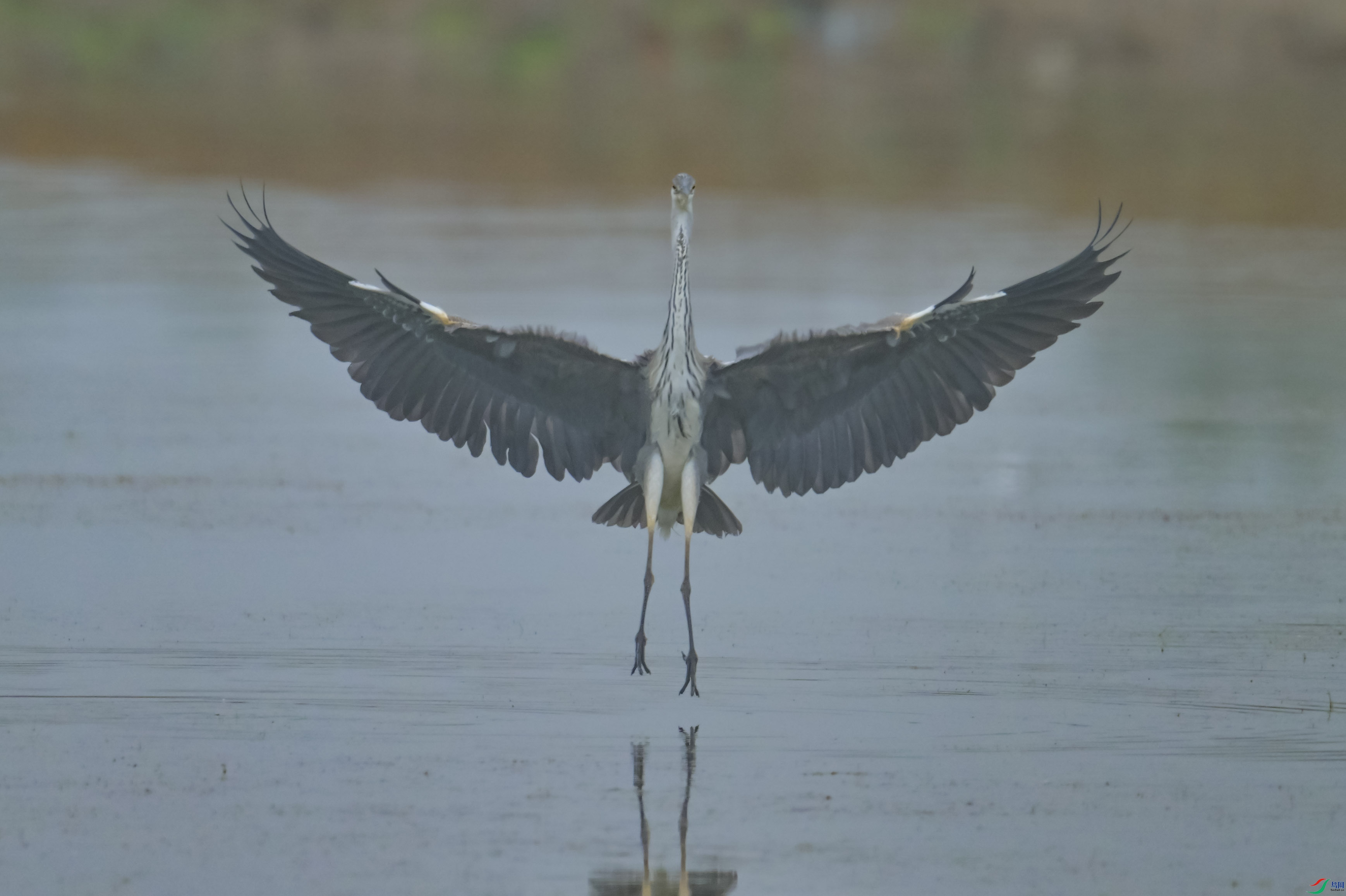 DSC_7344.jpg