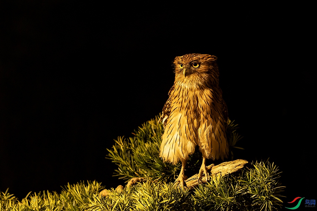 0F7A7749 ����.jpg