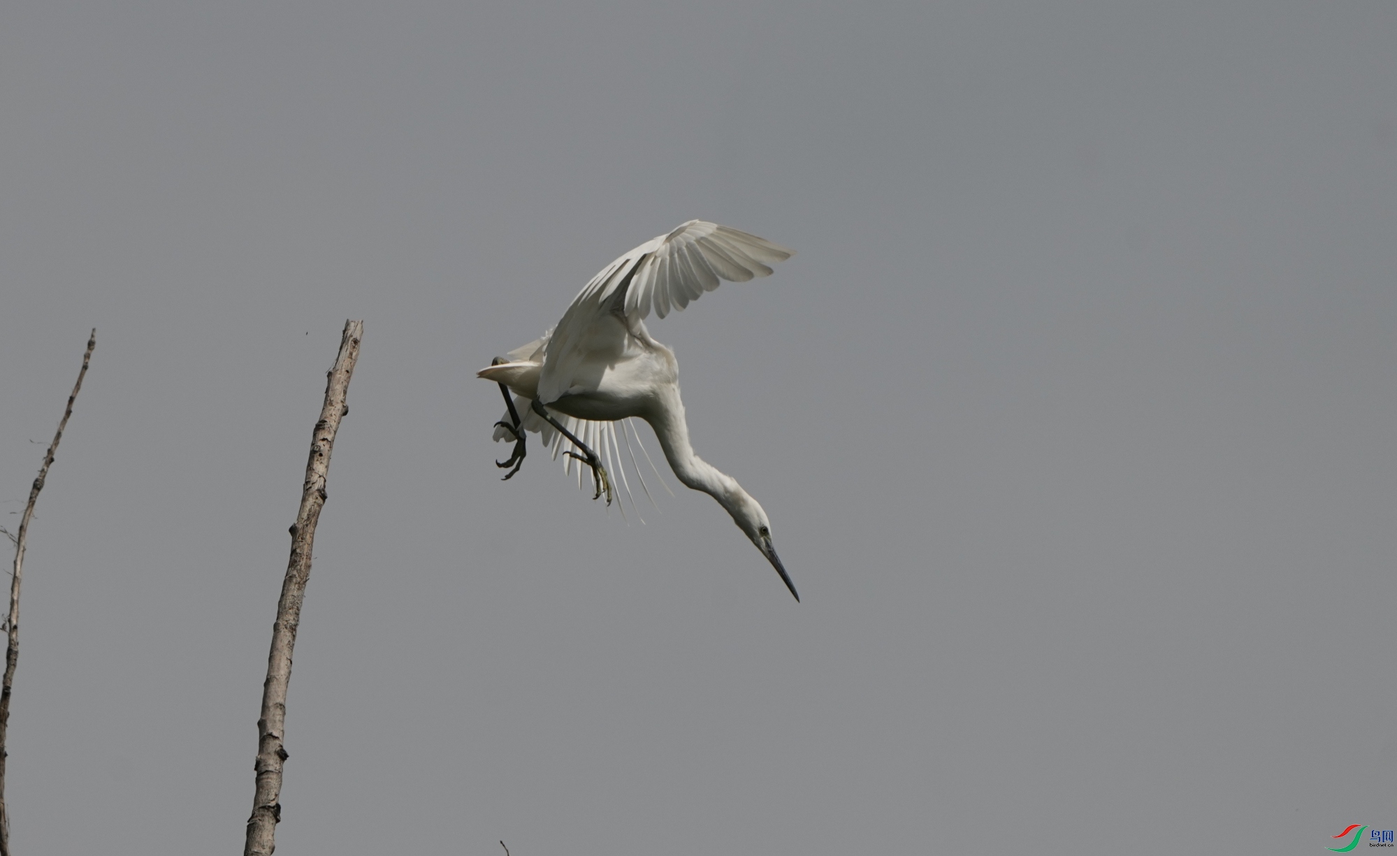 DSC01582_01_01.JPG