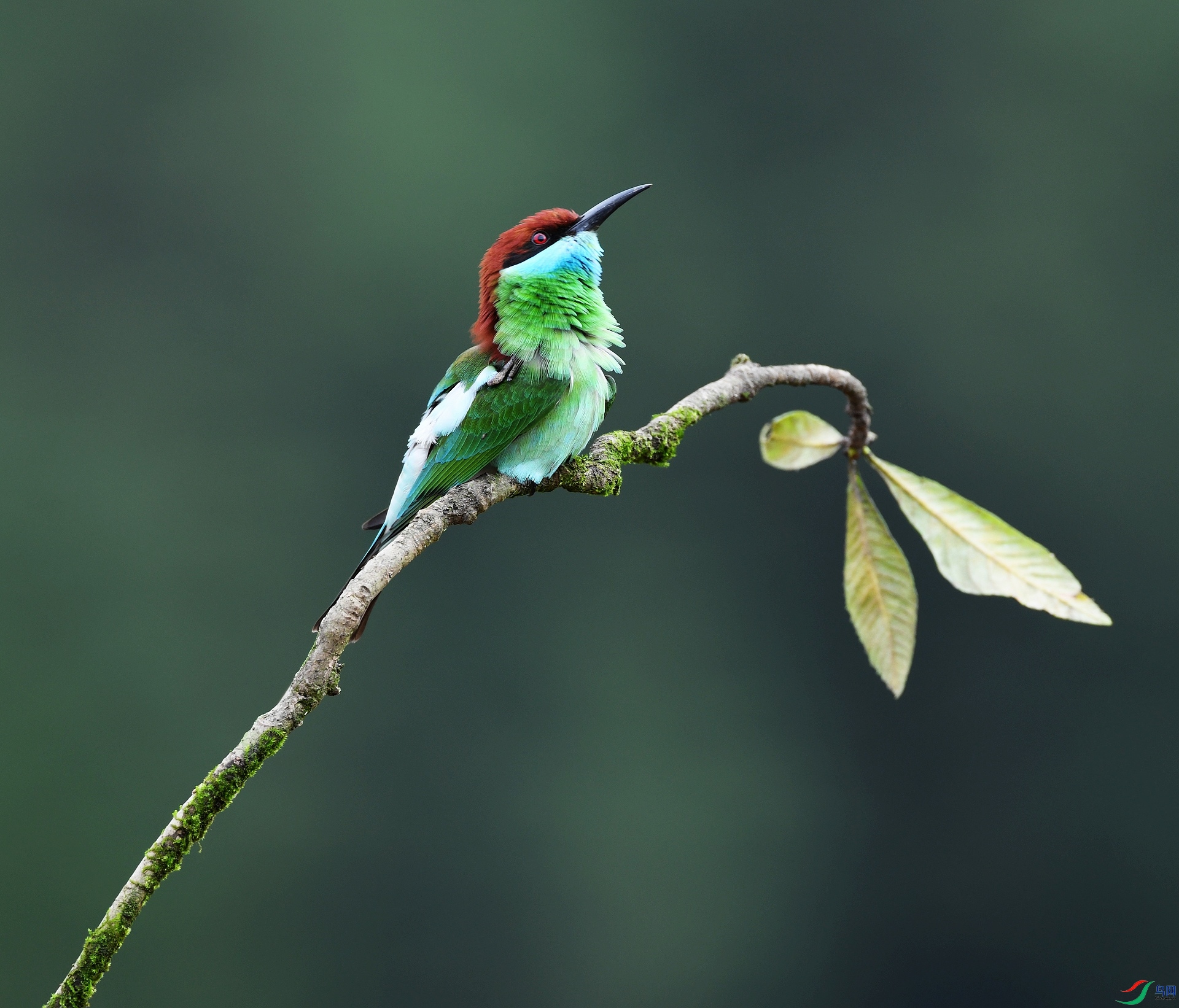 DSC_5843.jpg