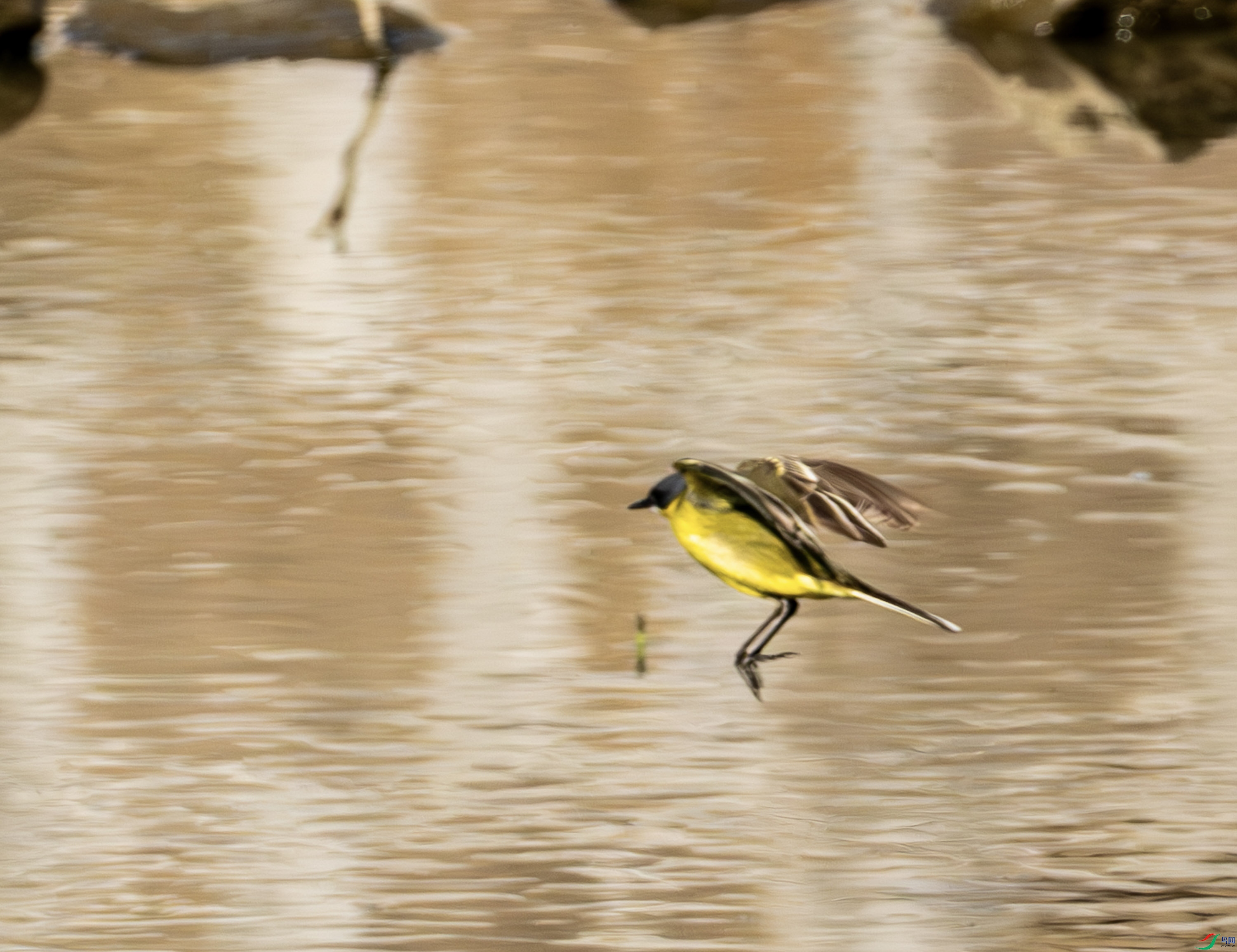 �����n�_ (2 - 2).jpg