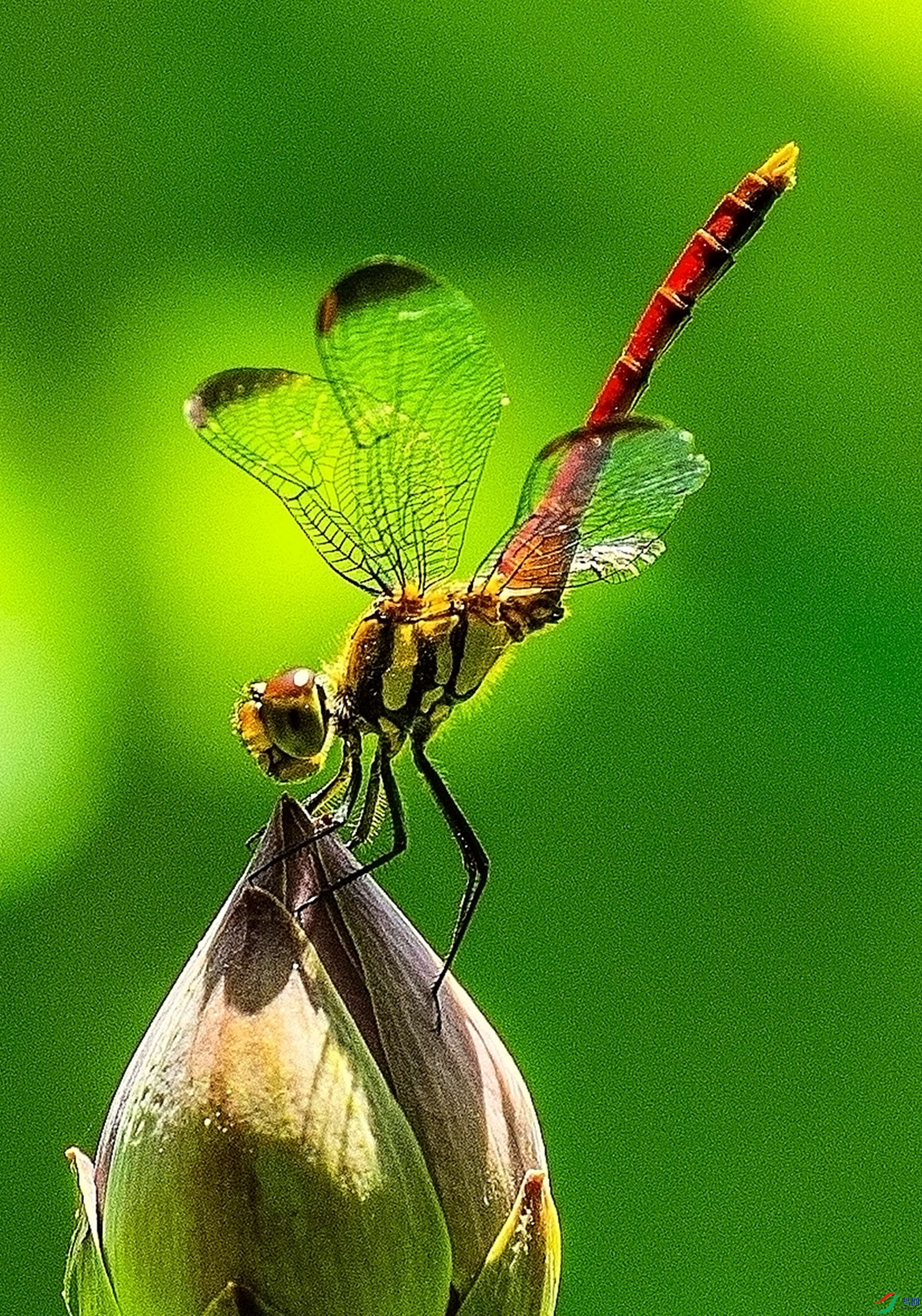 ������ (3)_����_����_����.jpg