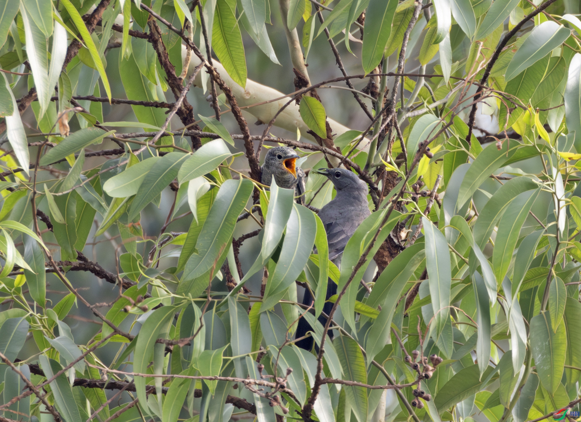 2I1A0784-����ǿ-NR ����.jpg