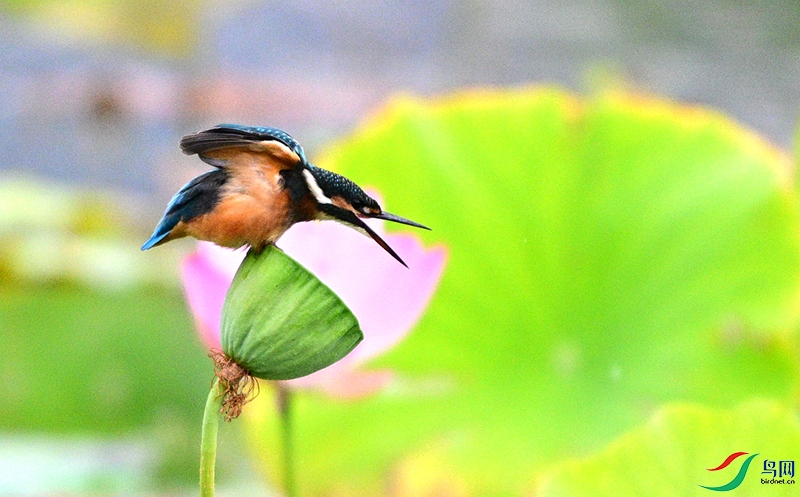 DSC_1054.JPG