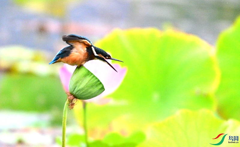 DSC_1055.JPG