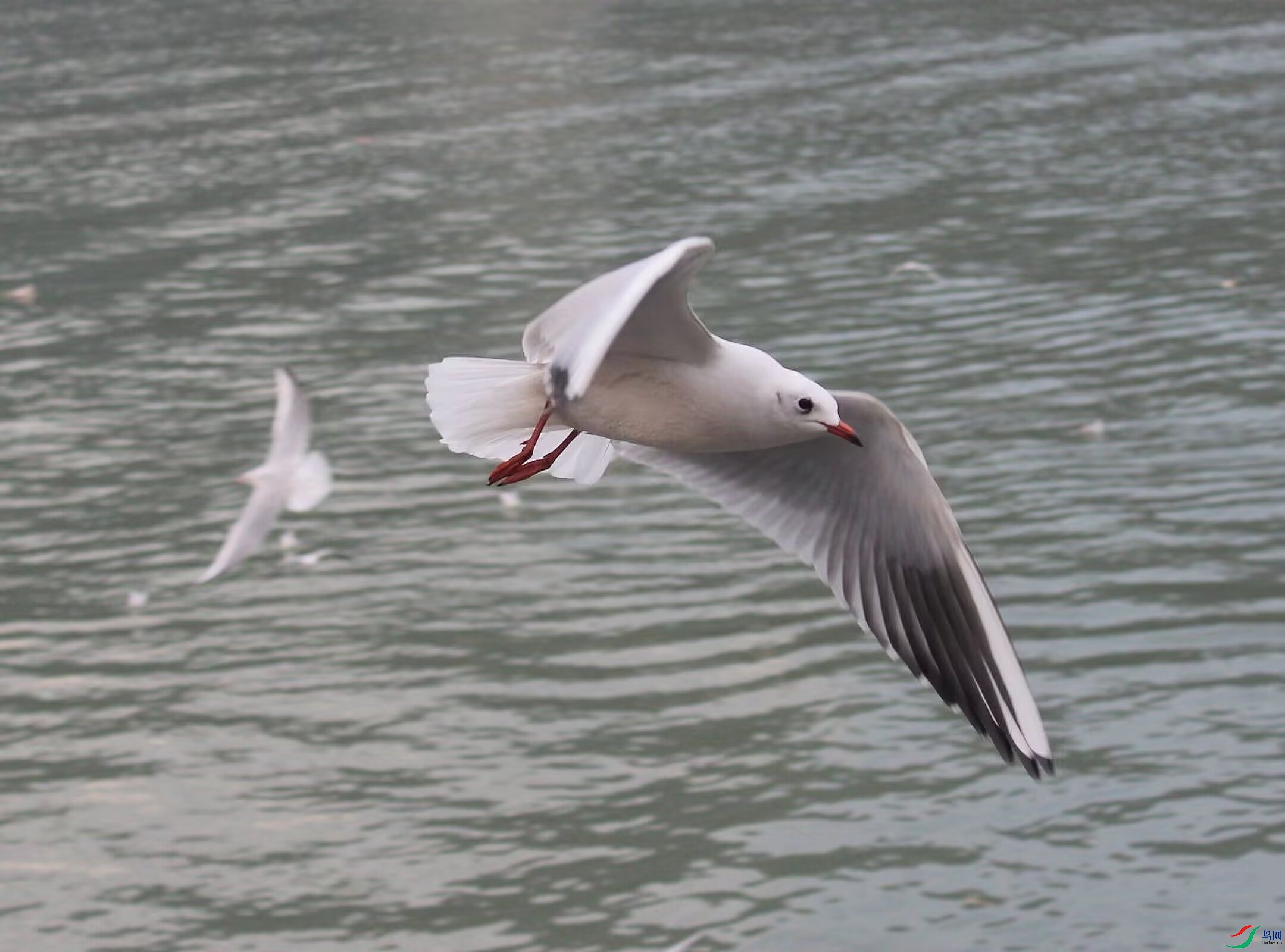 Image_1752050088400.jpg