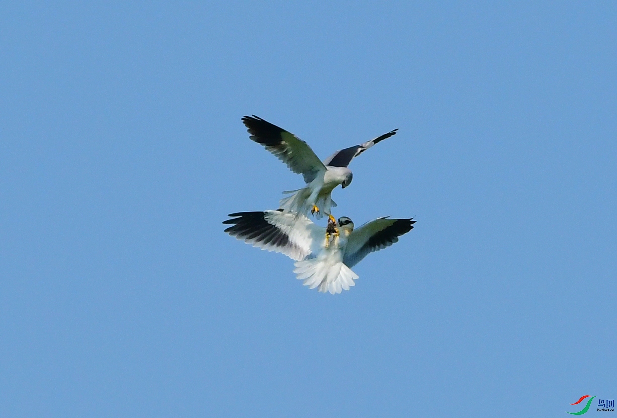 DSC_3964.JPG