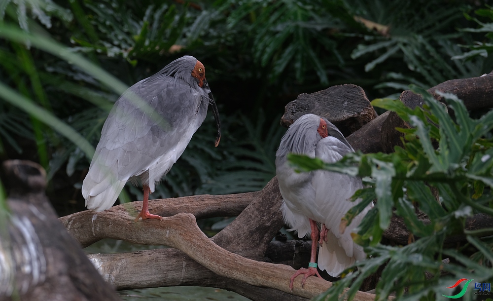 DSCF4703.1.jpg