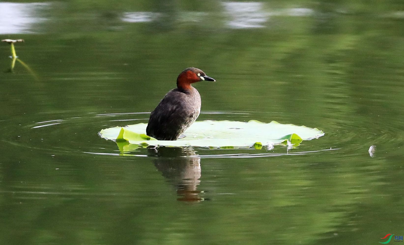 102_���� �G�f.jpg