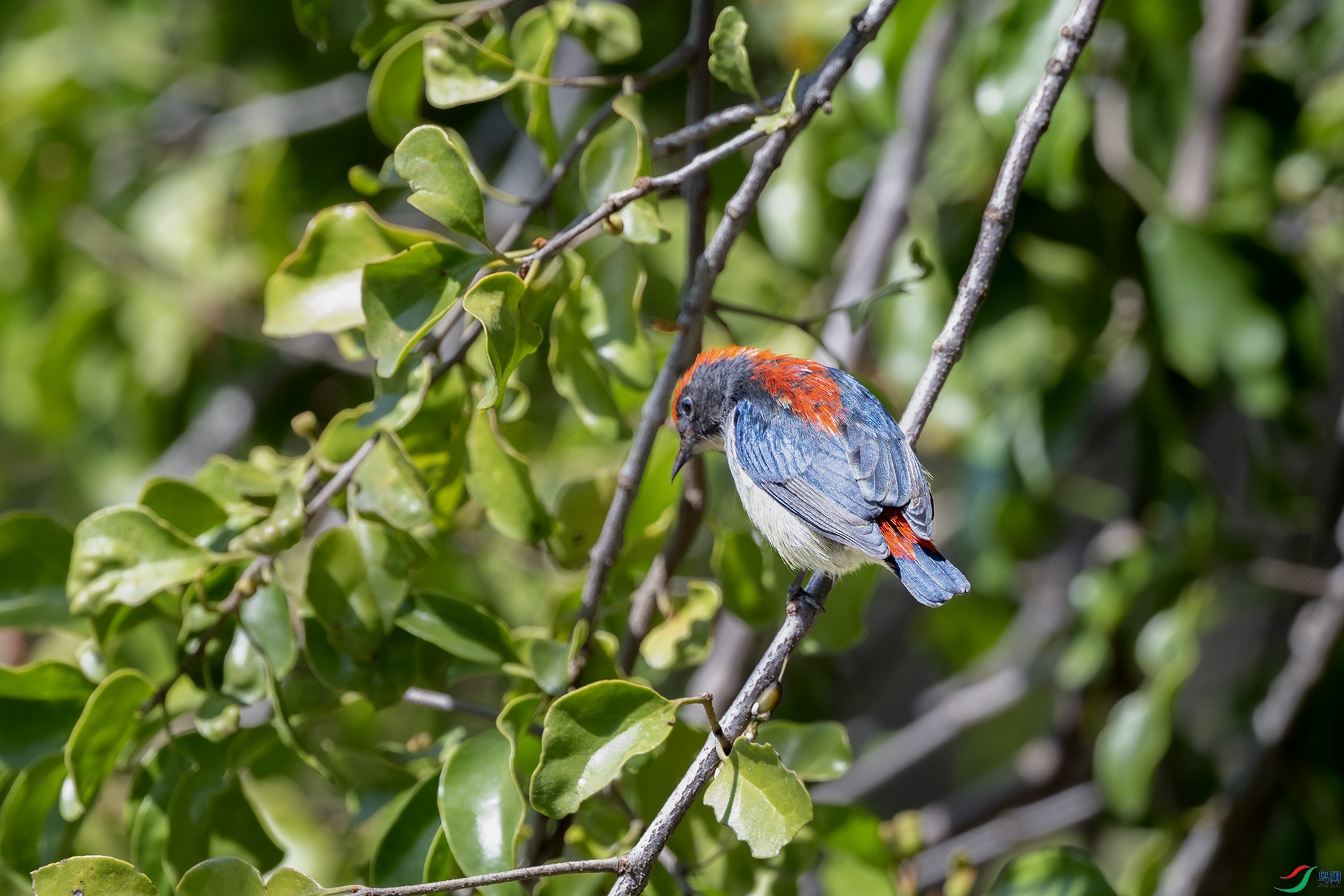 DSC_9336.jpg