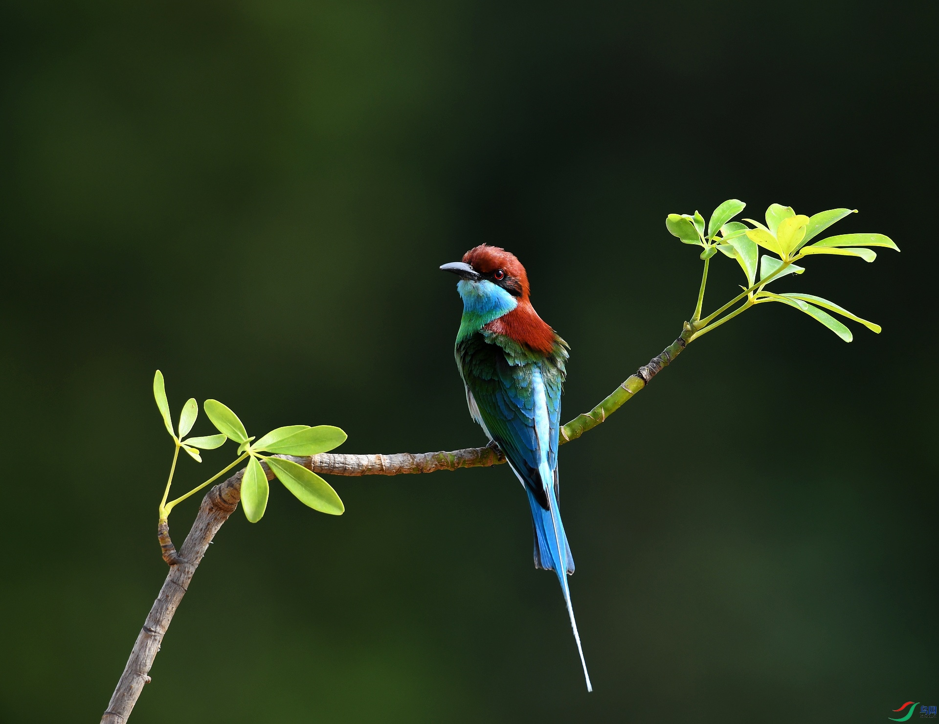 DSC_4915.jpg